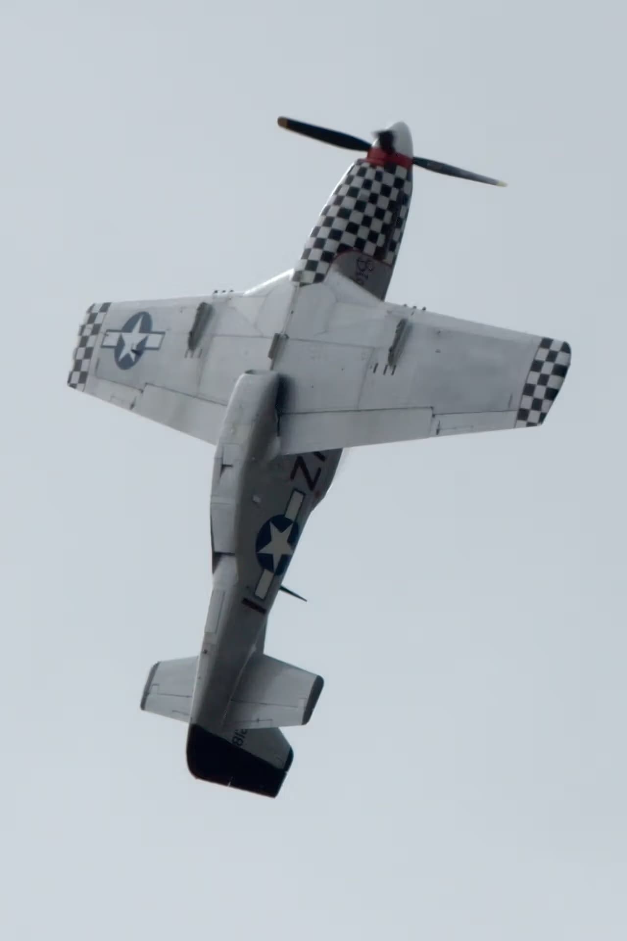 Unidentified — Warbird
