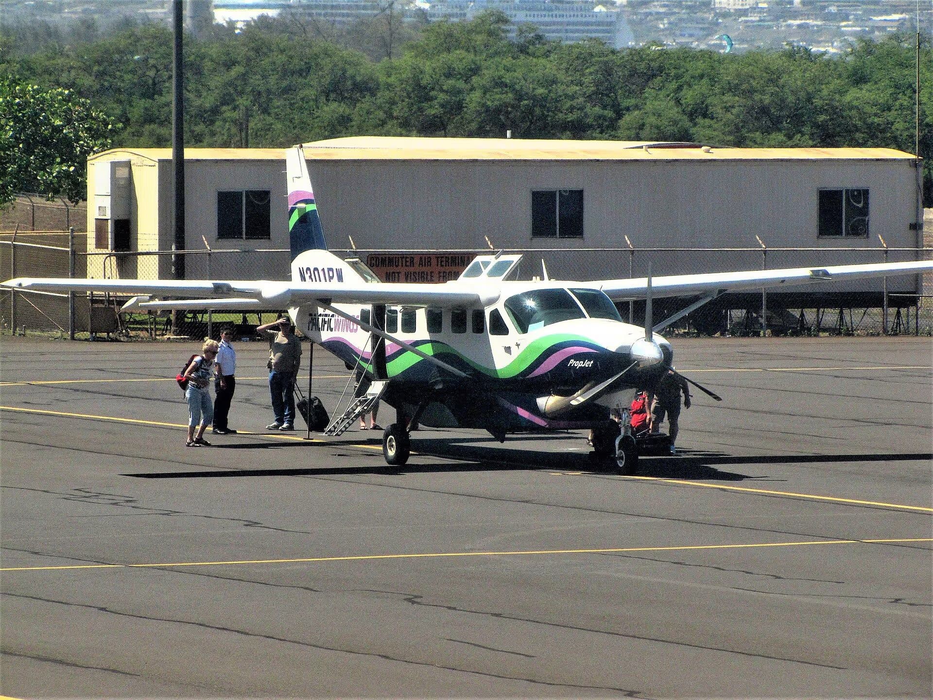 N301PW — Single-engine aircraft