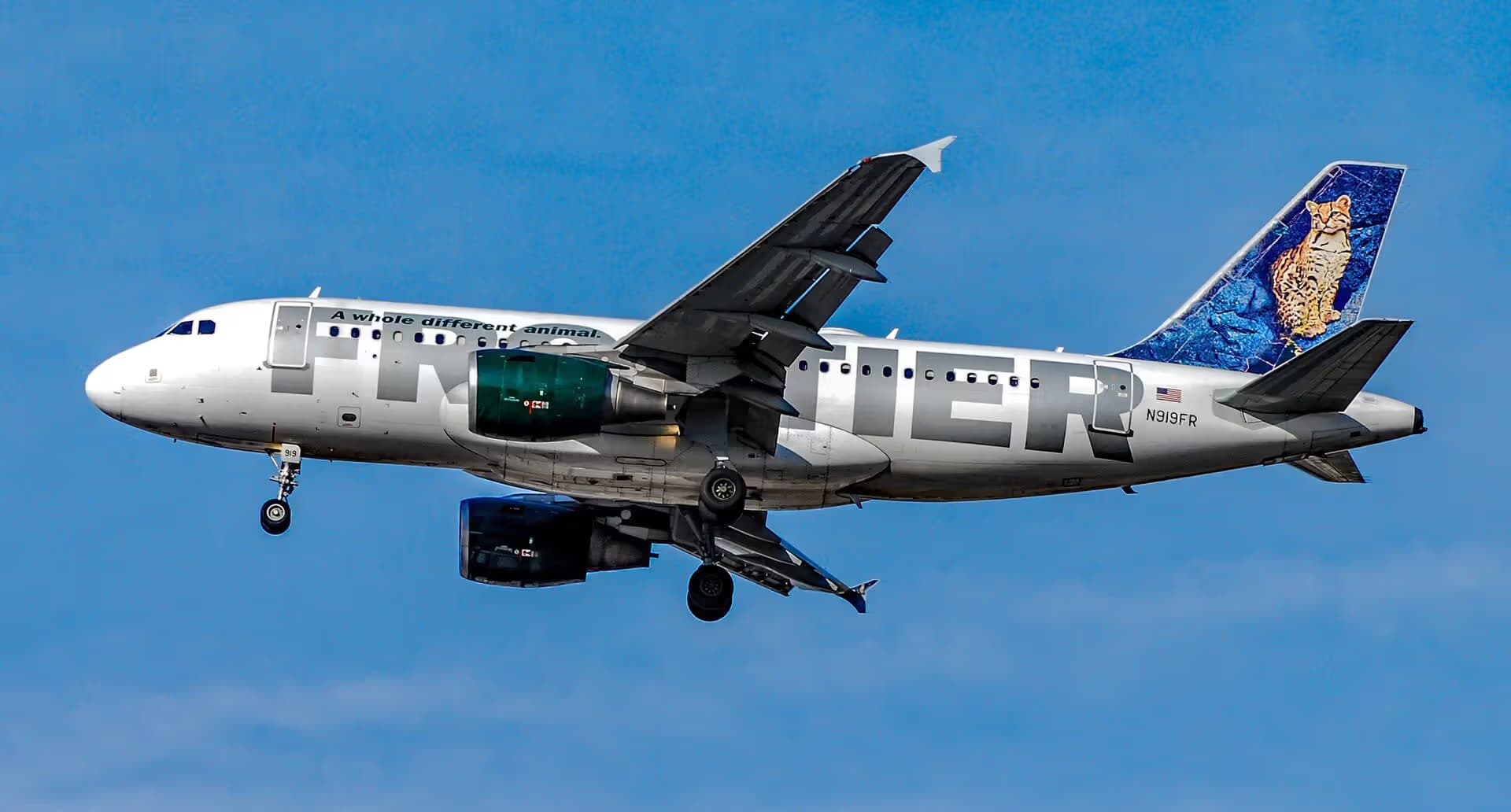 N919FR — Airbus