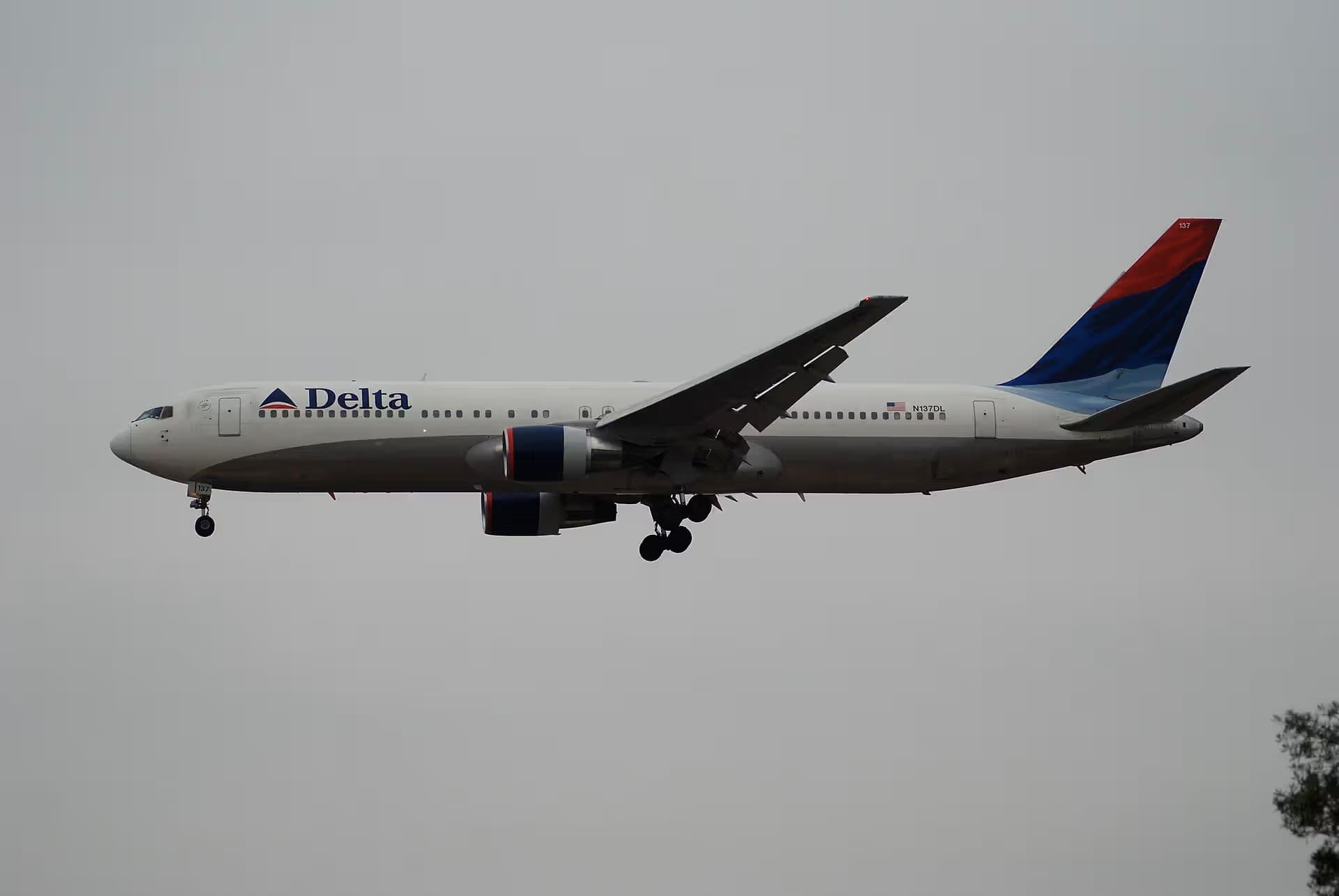 N137DL — Twin-engine aircraft
