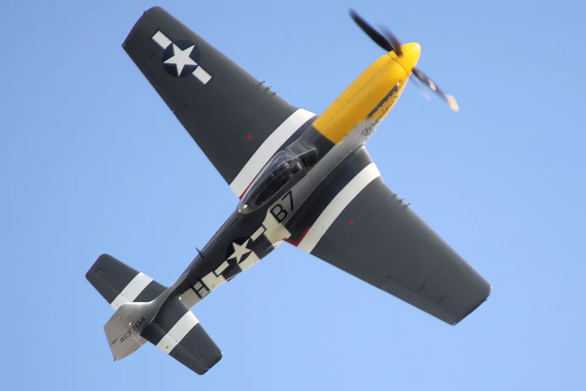 Unidentified — Warbird