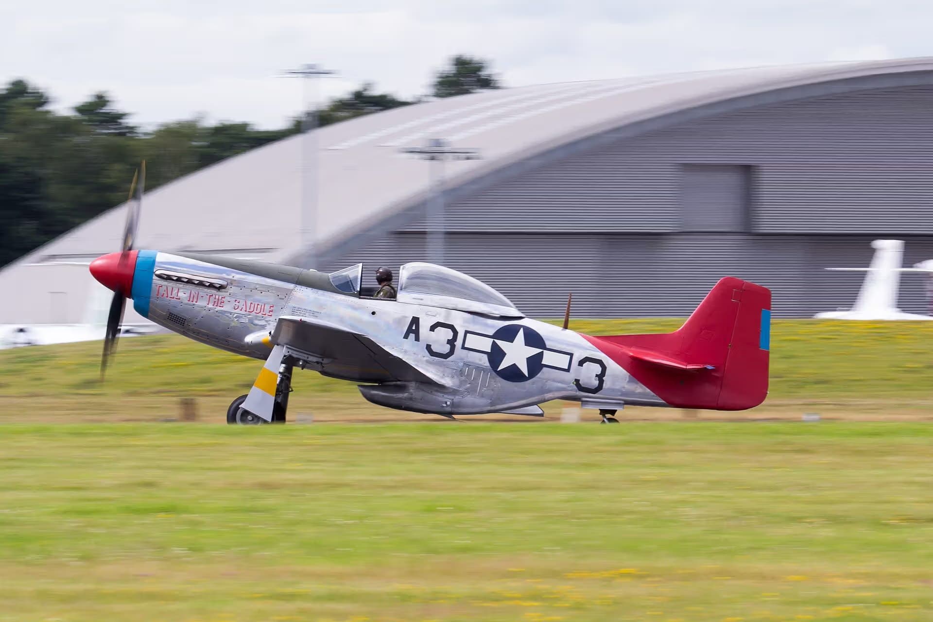 Unidentified — Warbird