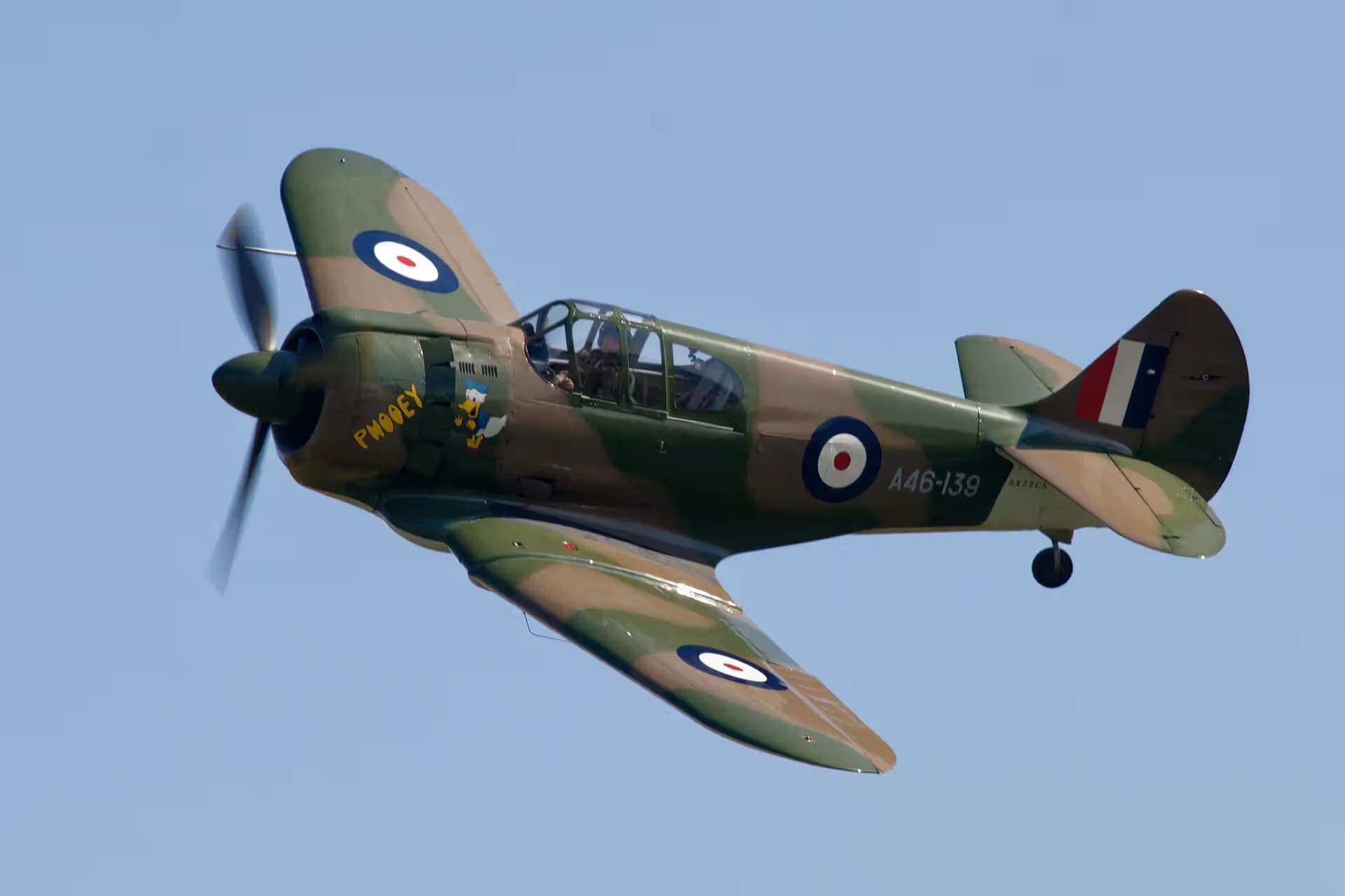 Unidentified — Warbird