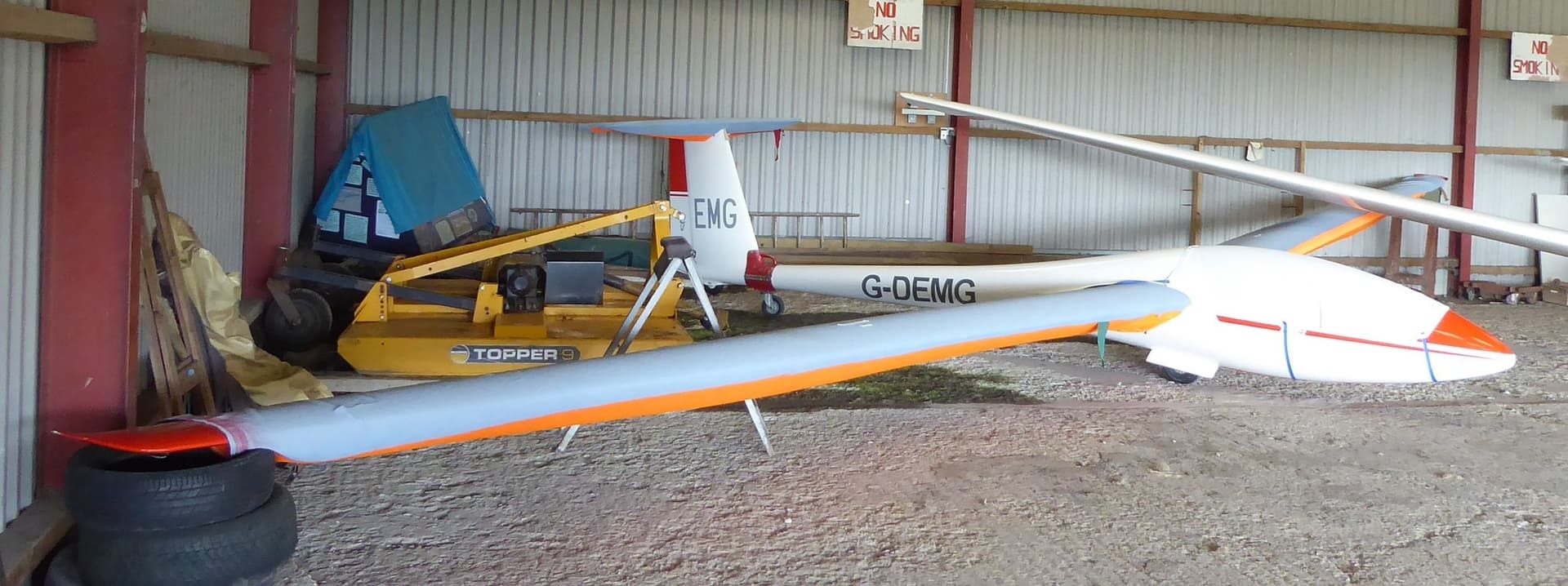 G-DEMG — Glider