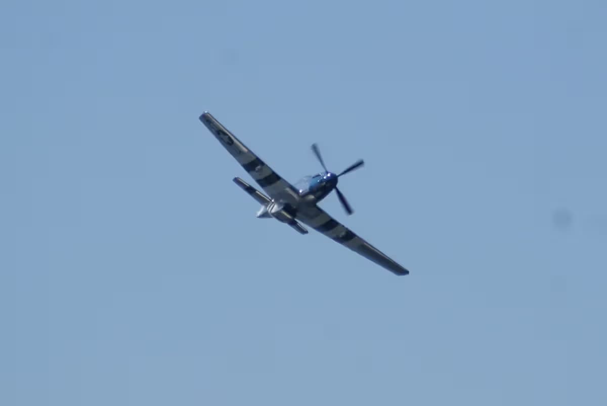 Unidentified — Warbird