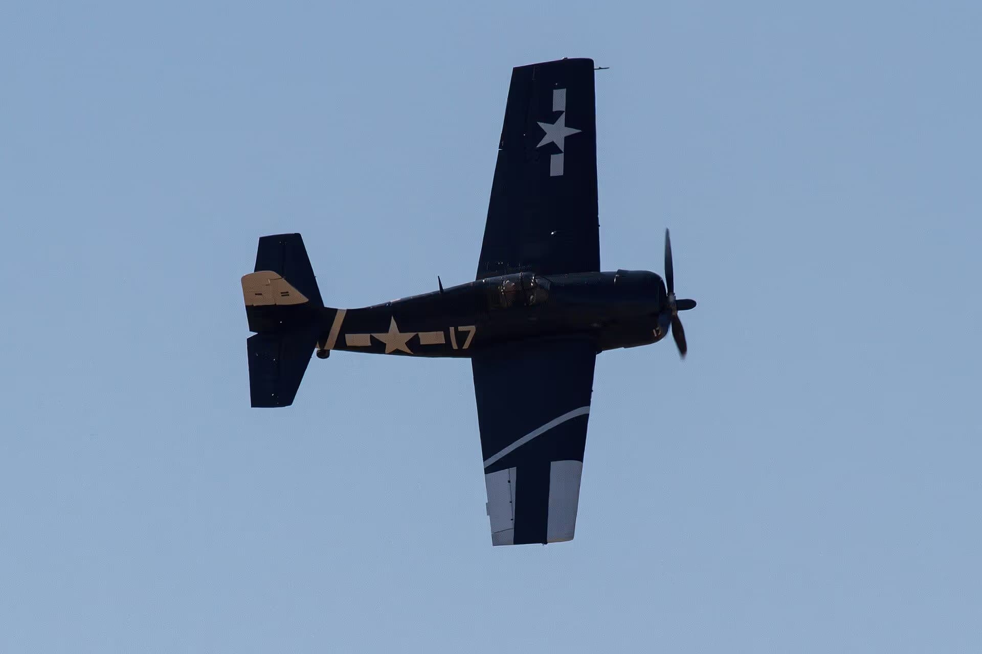 Unidentified — Warbird
