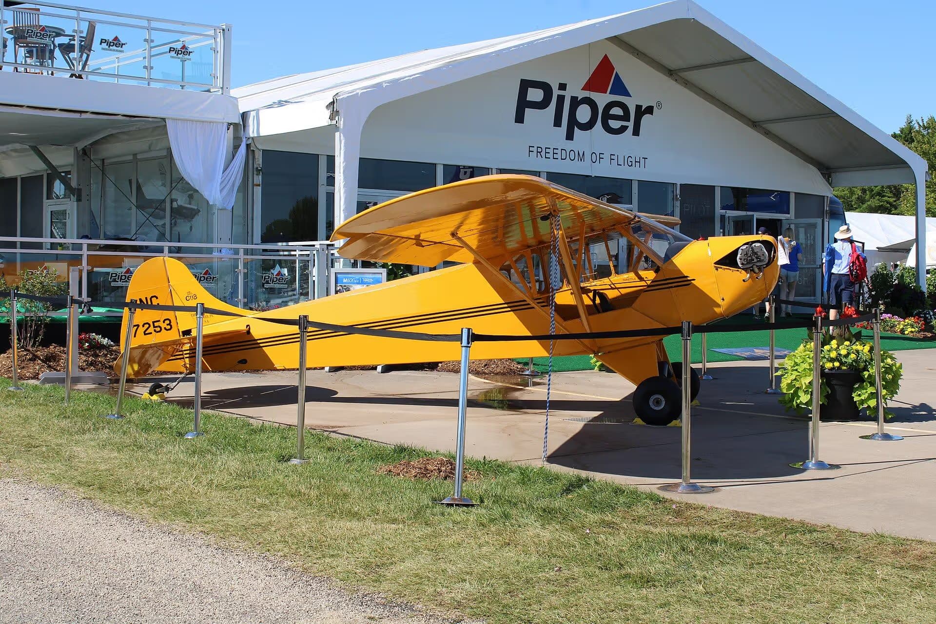 Unidentified — Piper