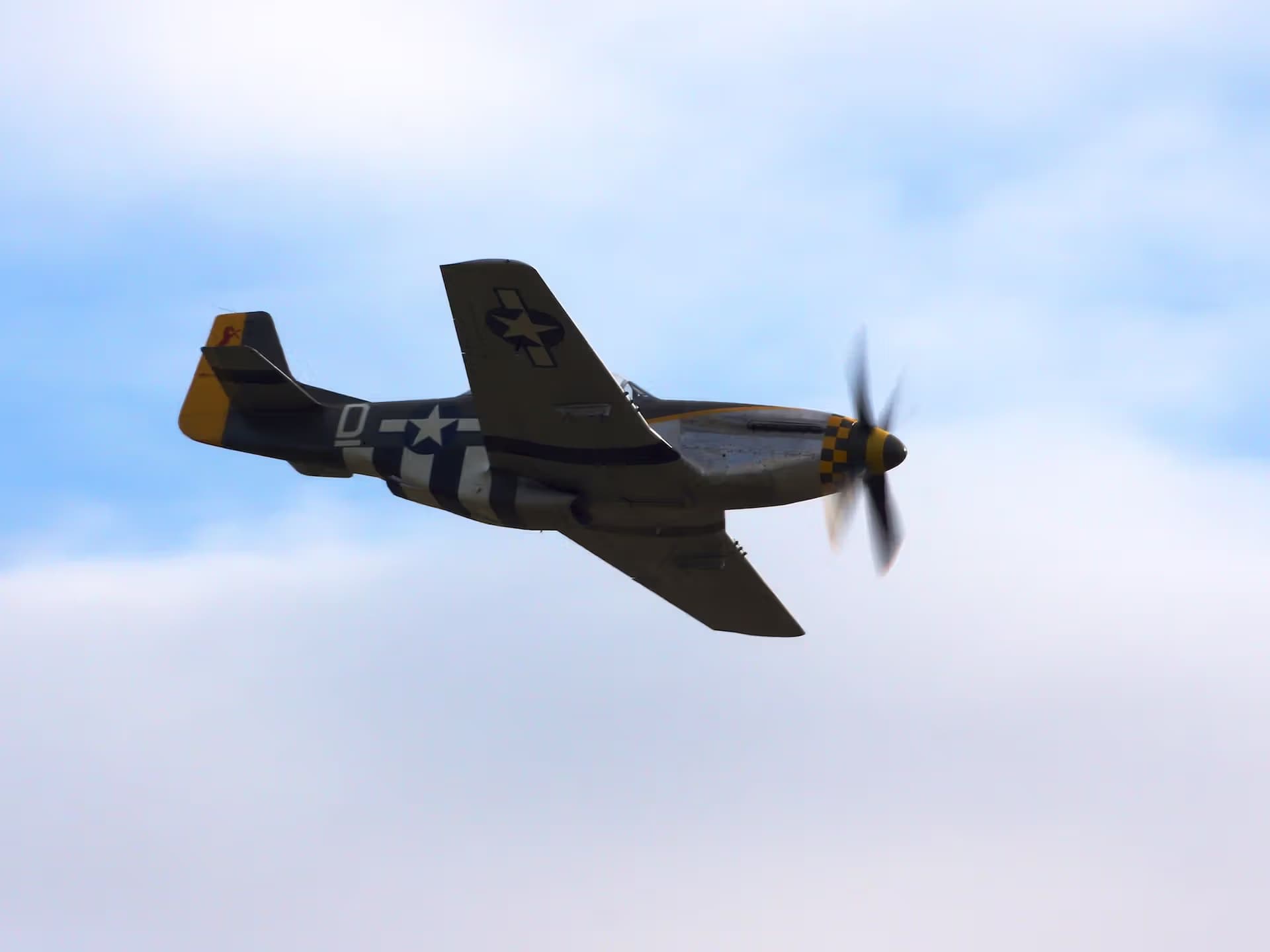 N251RJ — Warbird