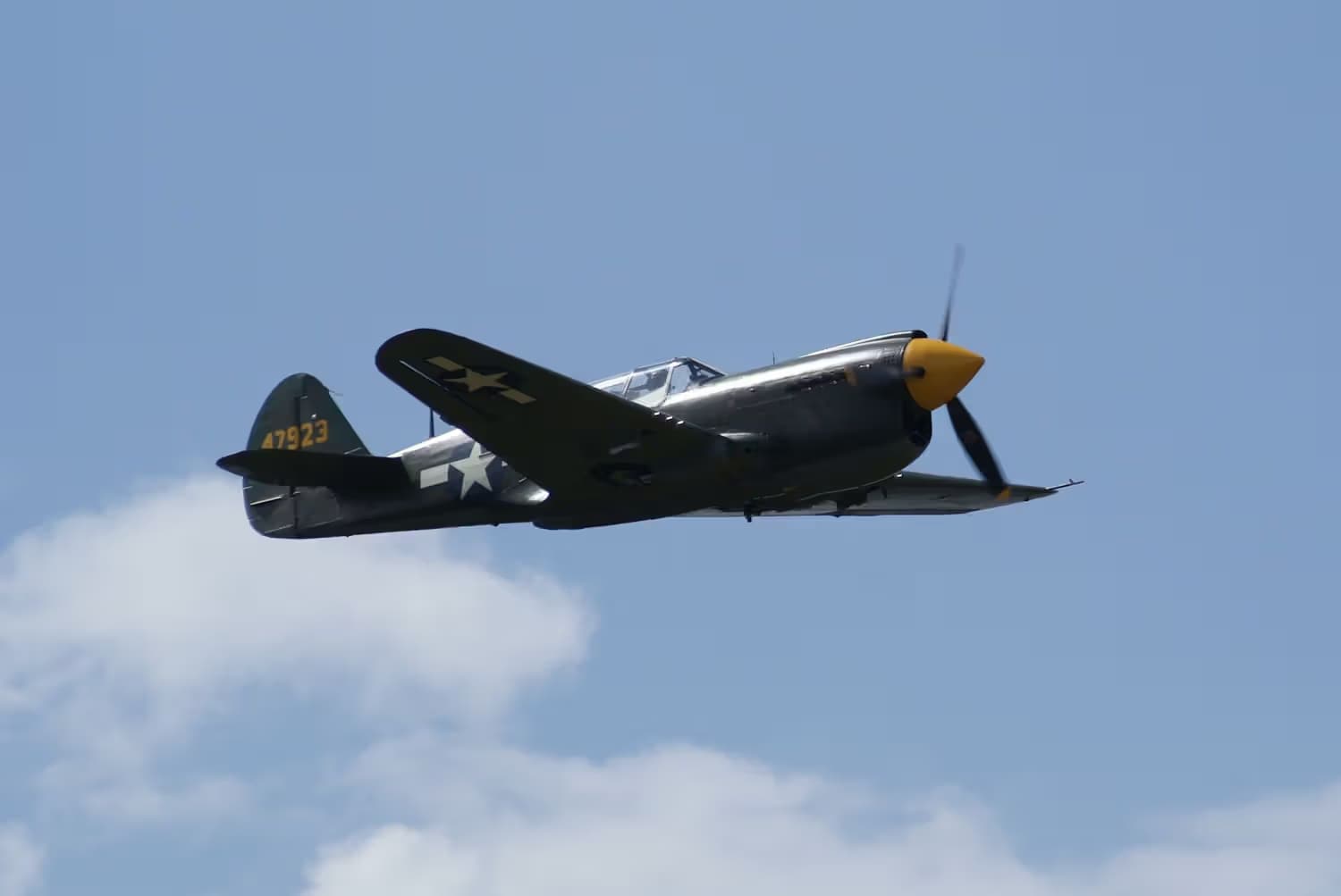 Unidentified — Warbird