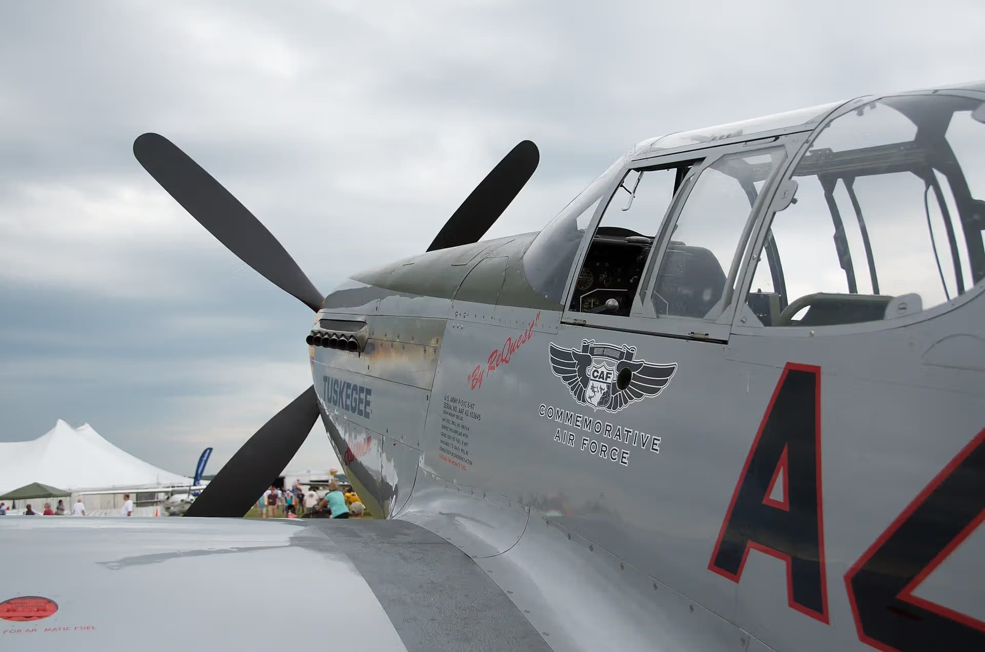 Unidentified — Warbird