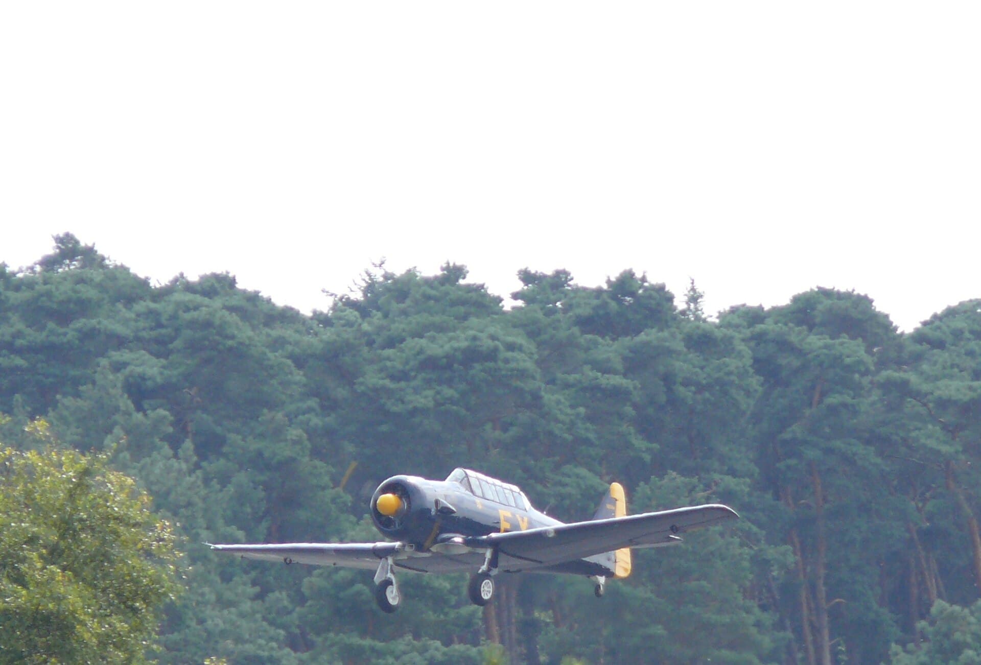 N13FY - Warbird
