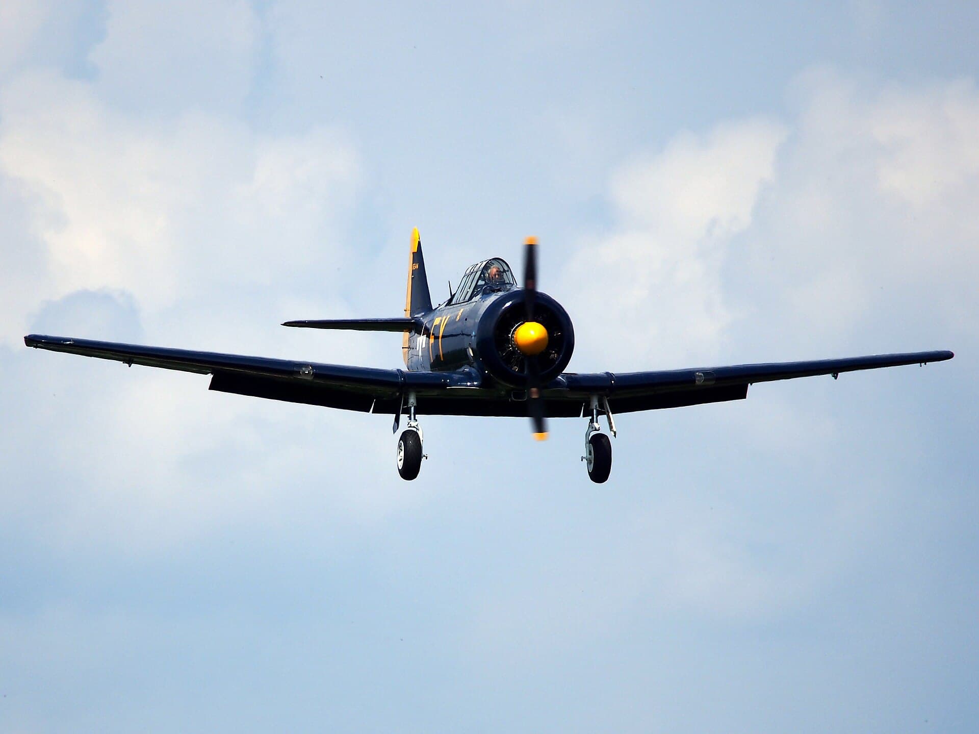 N13FY - Warbird