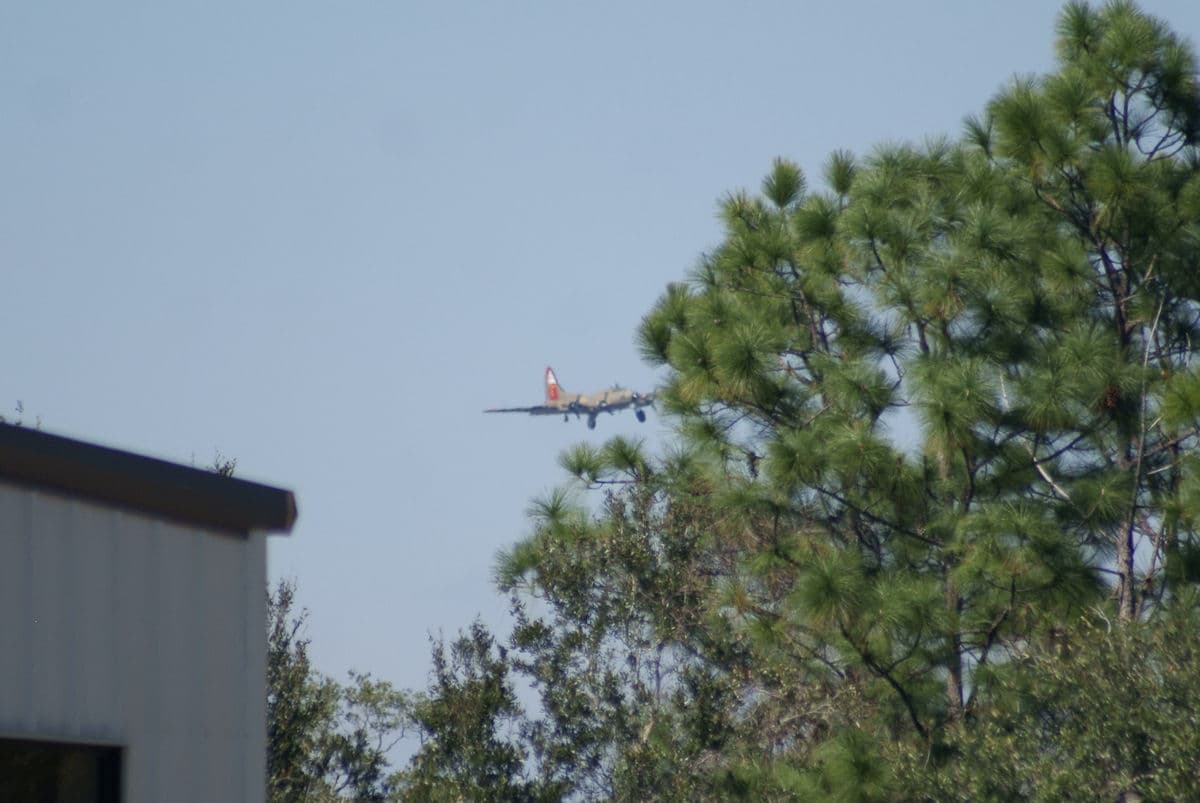 - Warbird