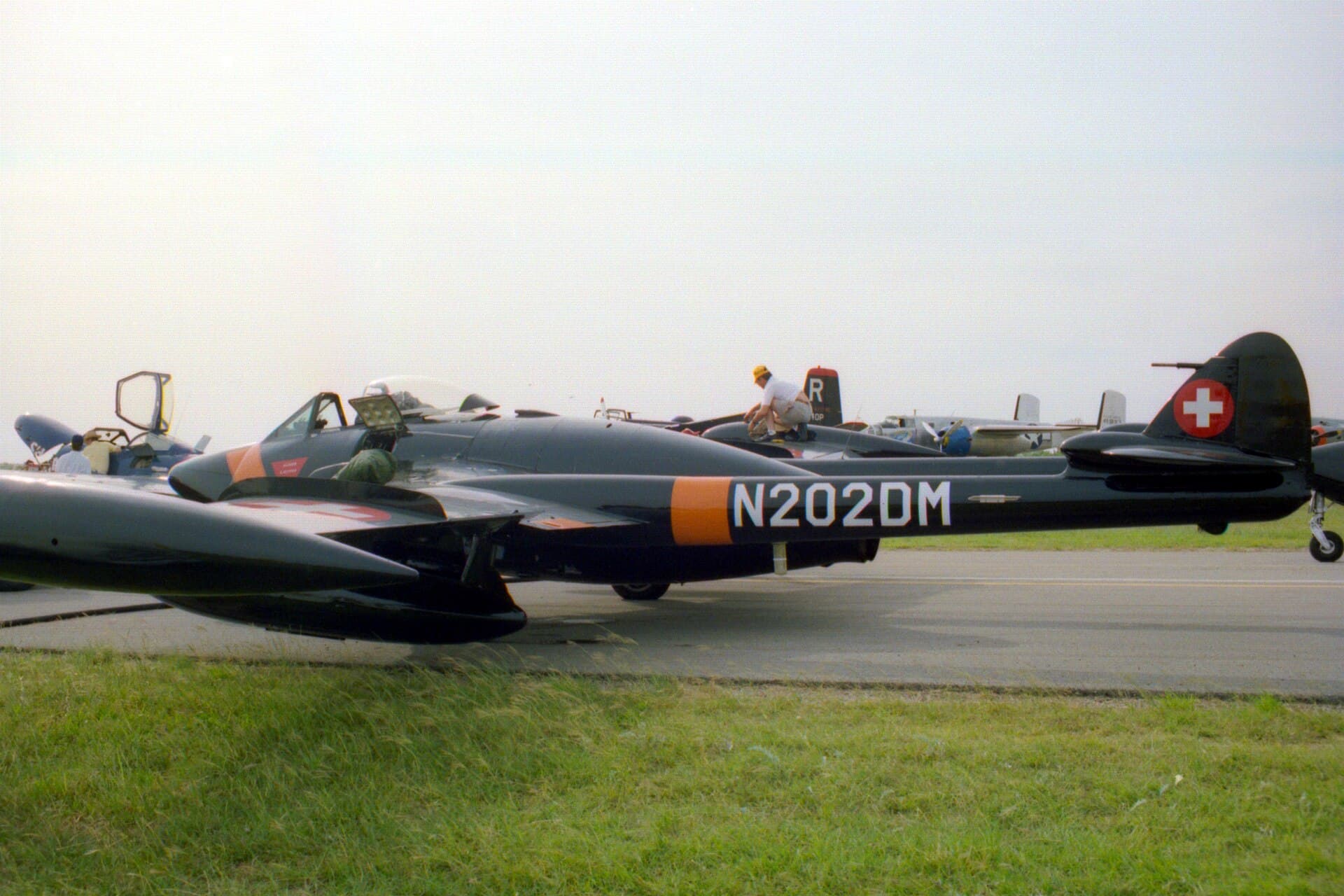 N202DM - De Havilland