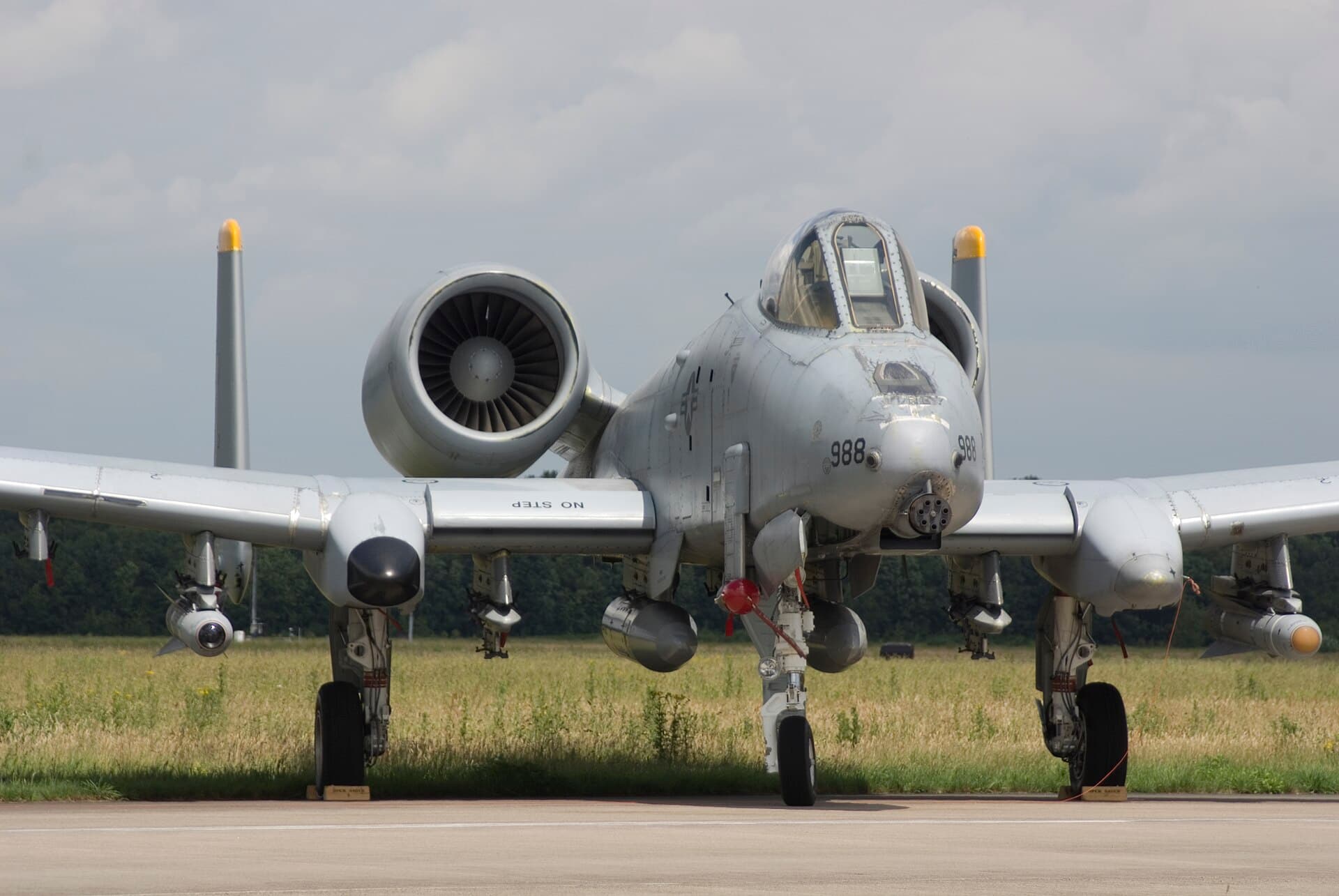 - Warbird