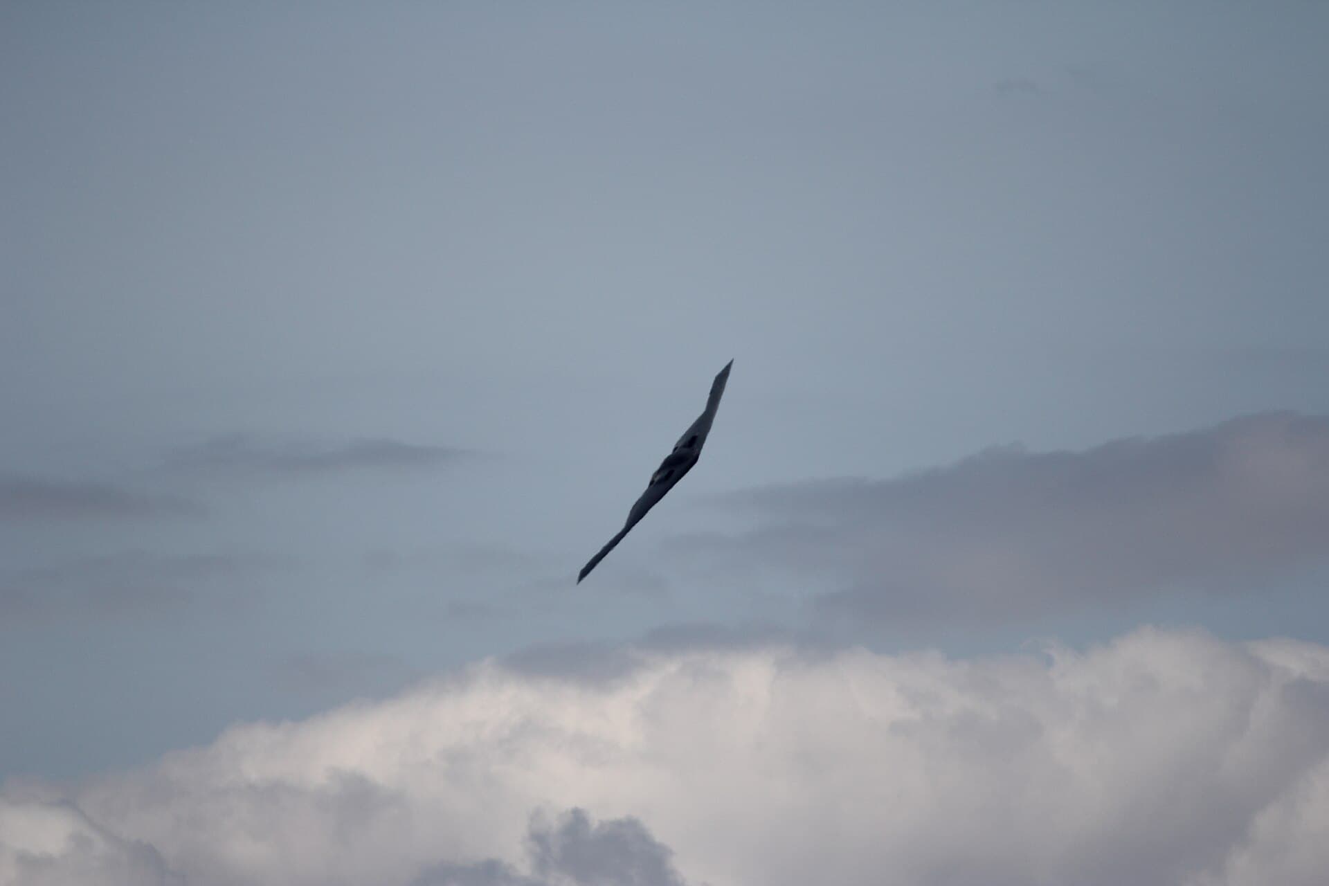 - Warbird