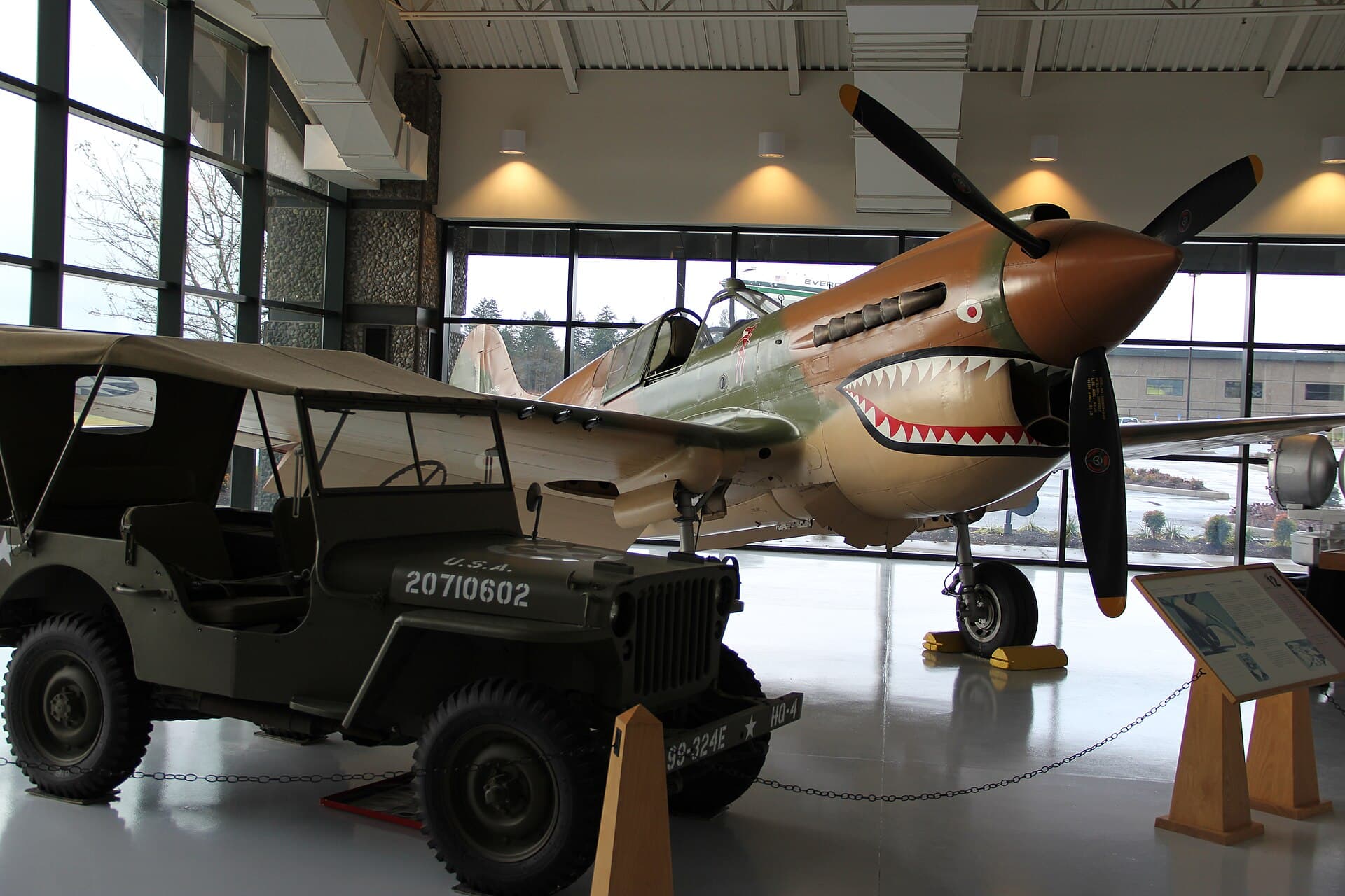 - Warbird