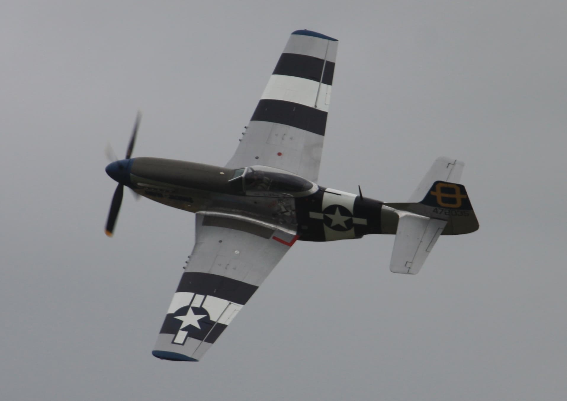 - Warbird