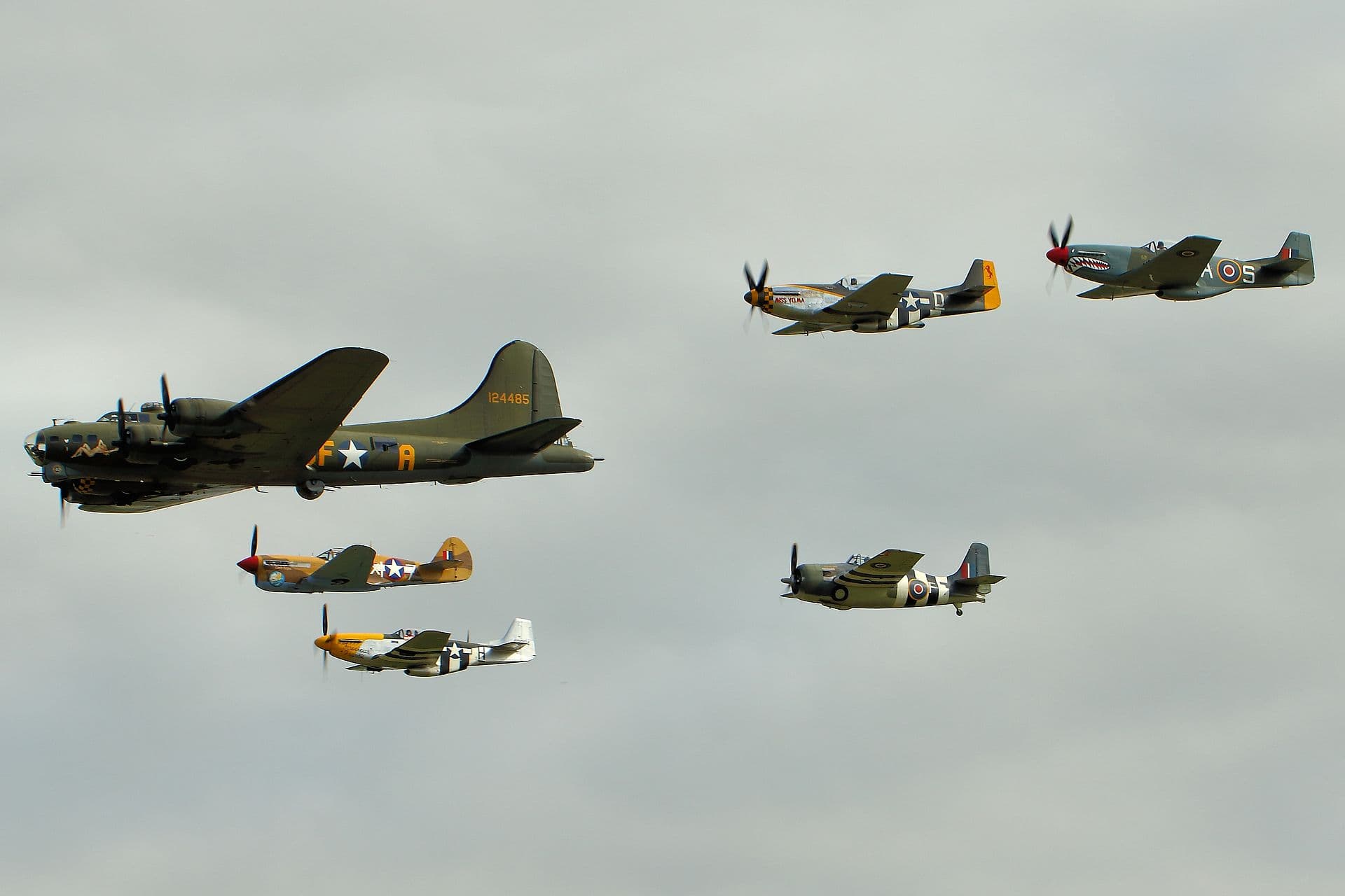 - Warbird