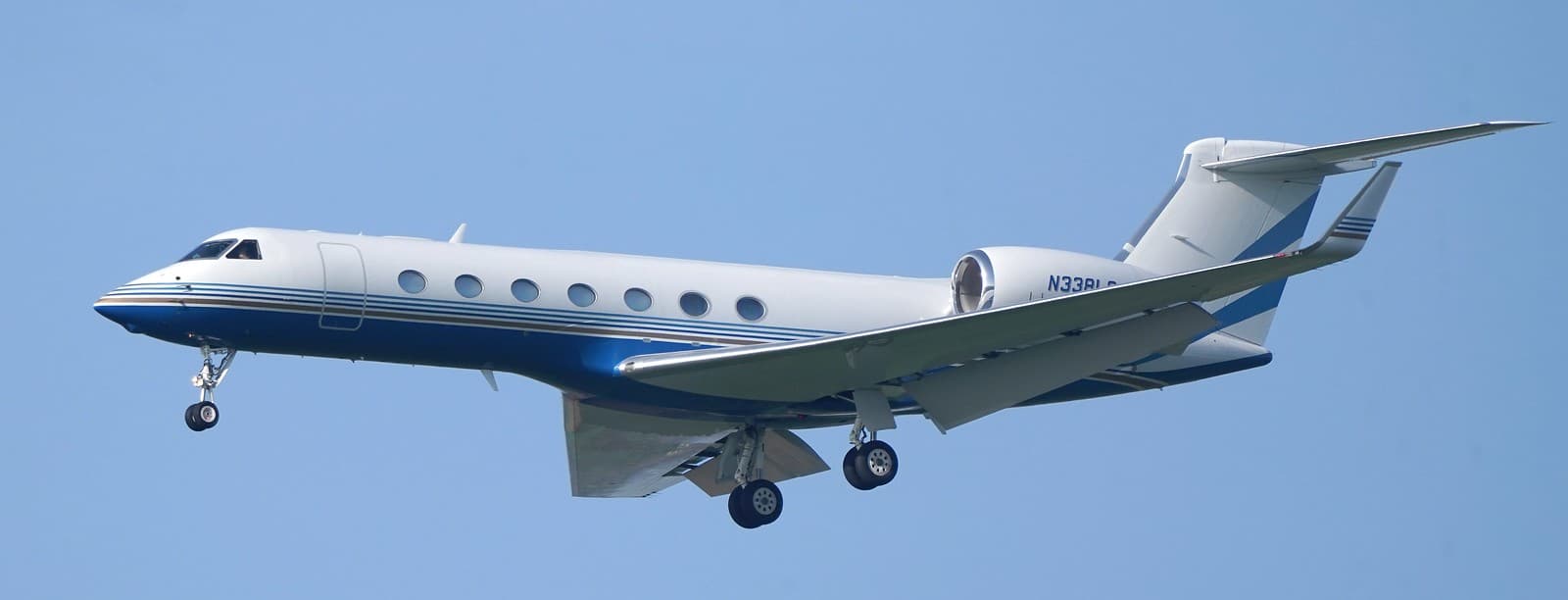 N338LS - Business jet