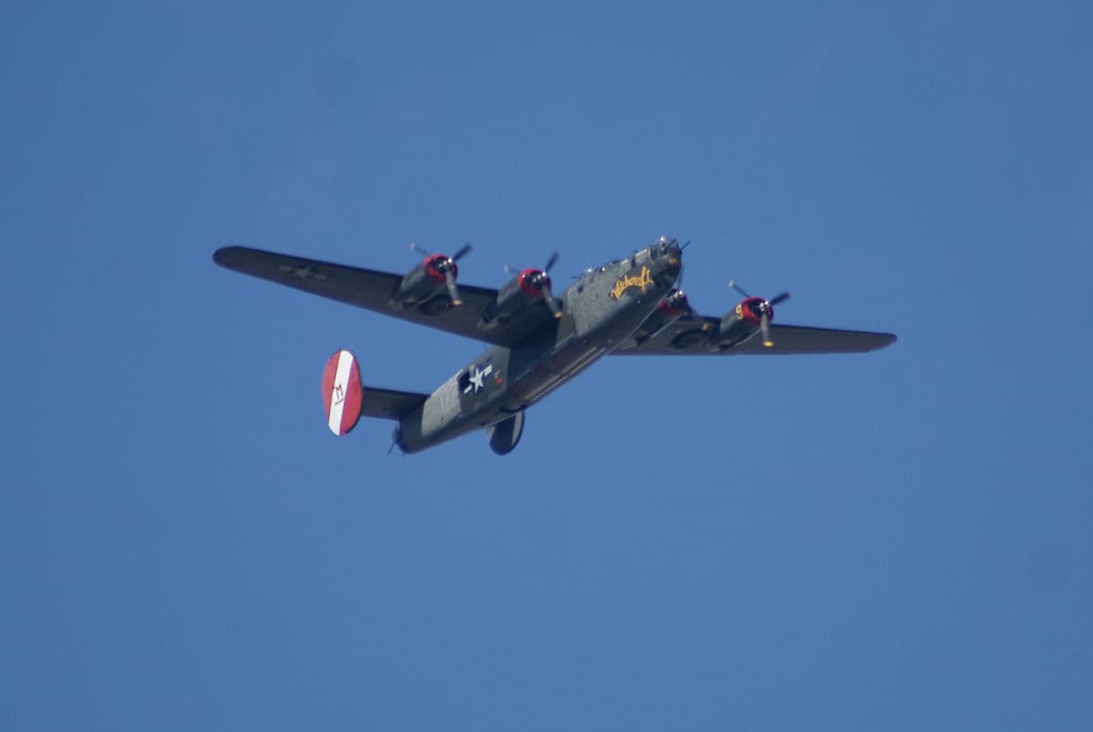 - Warbird