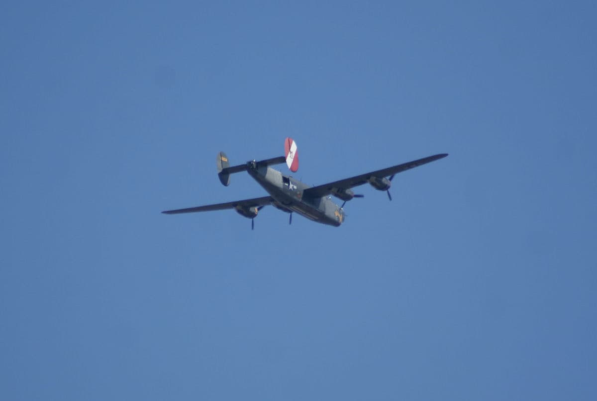 - Warbird