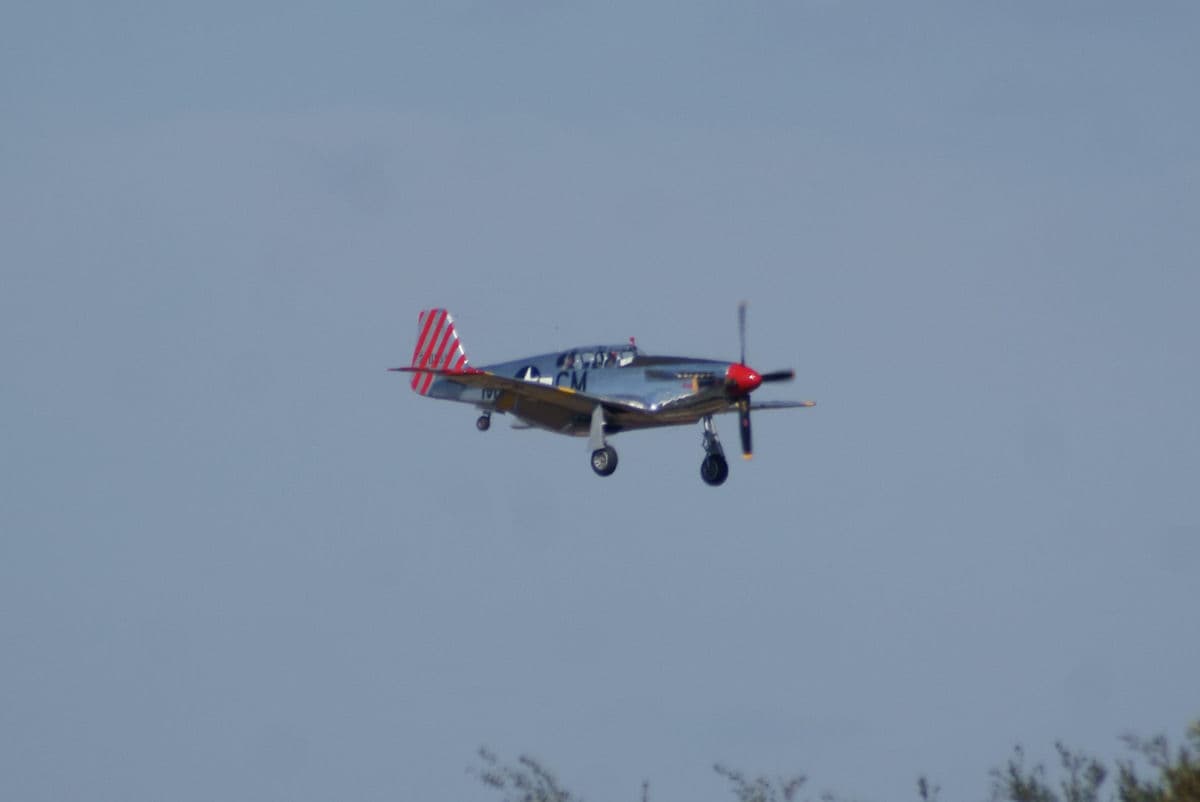N251MX - Warbird