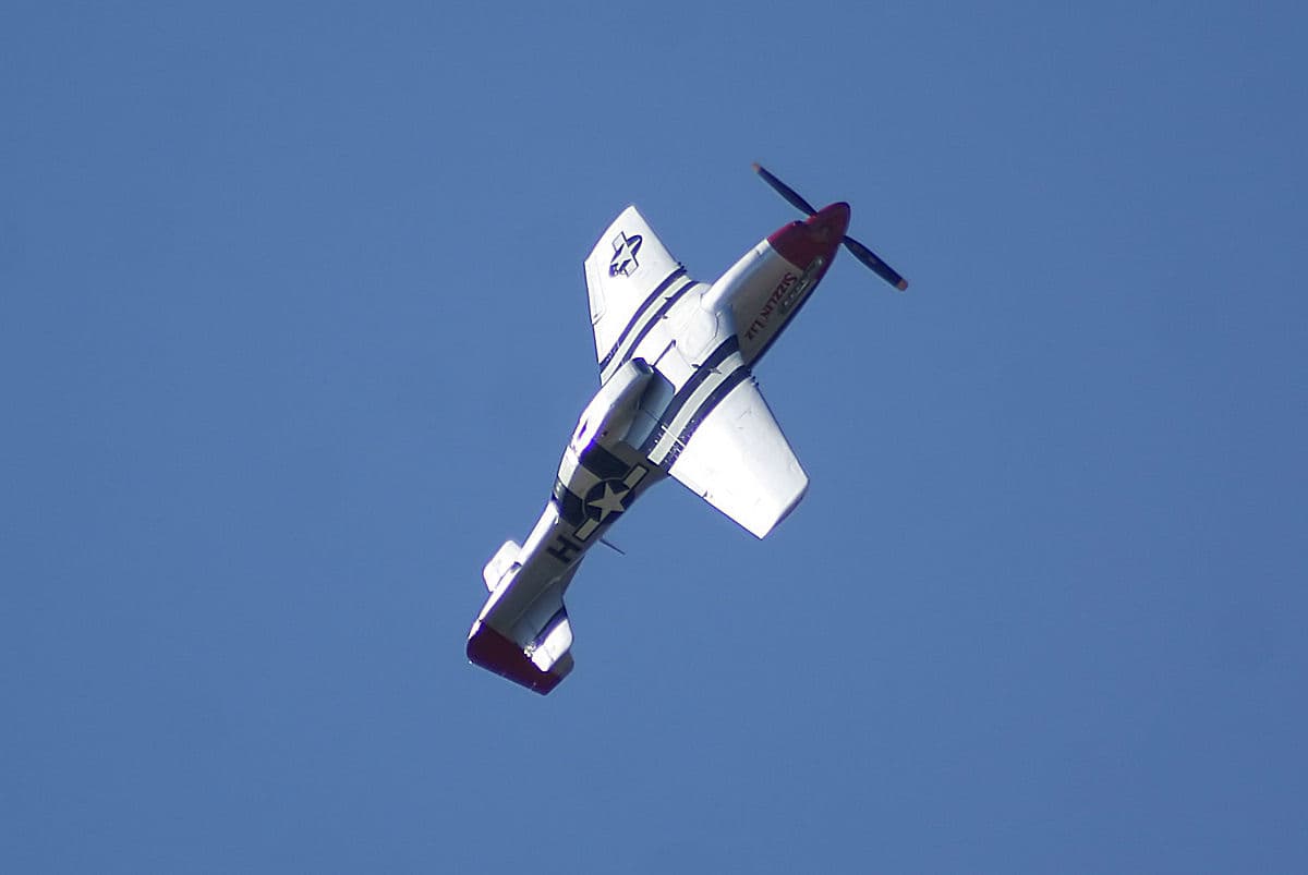 - Warbird