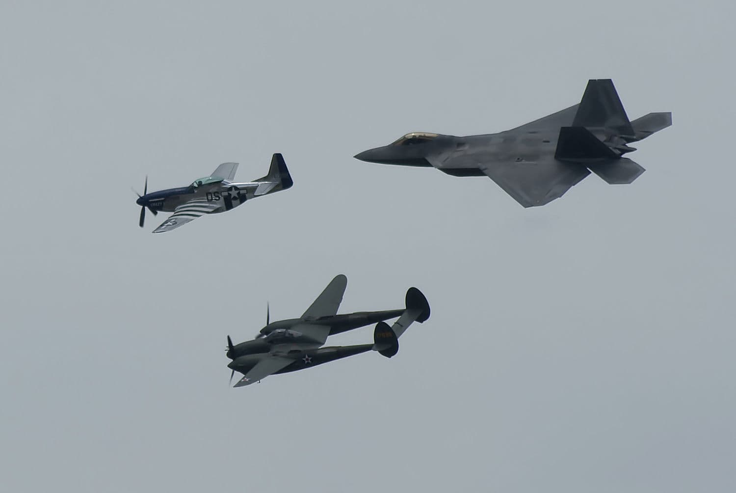 - Warbird