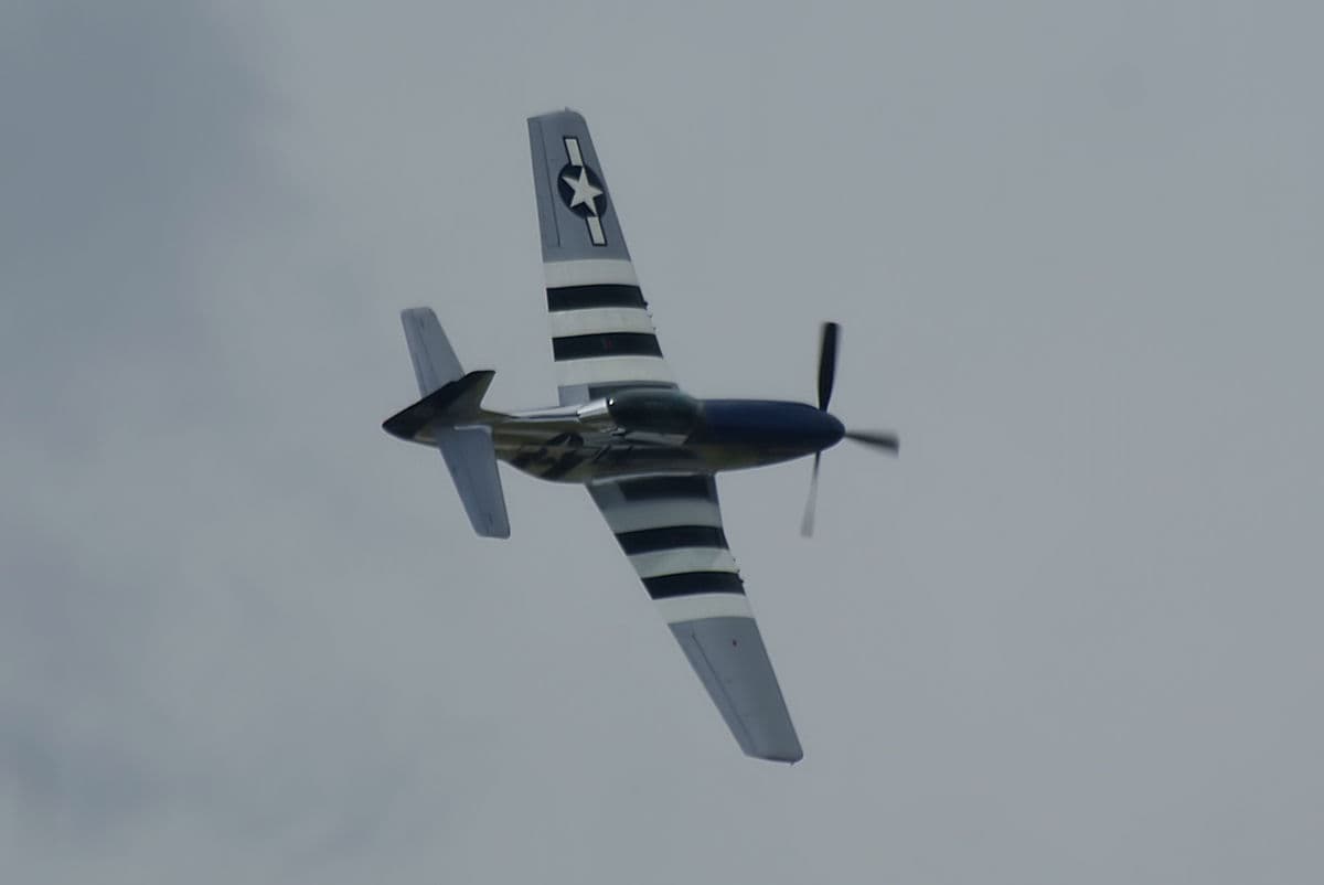 - Warbird