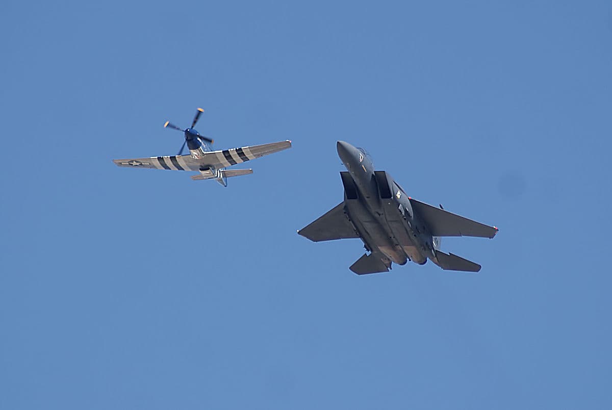 - Warbird