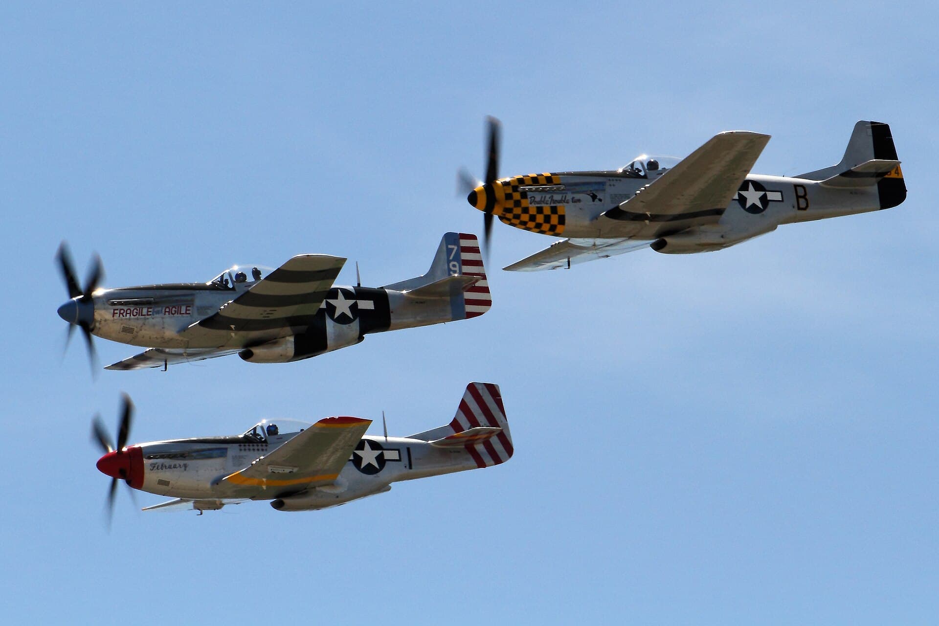 - Warbird