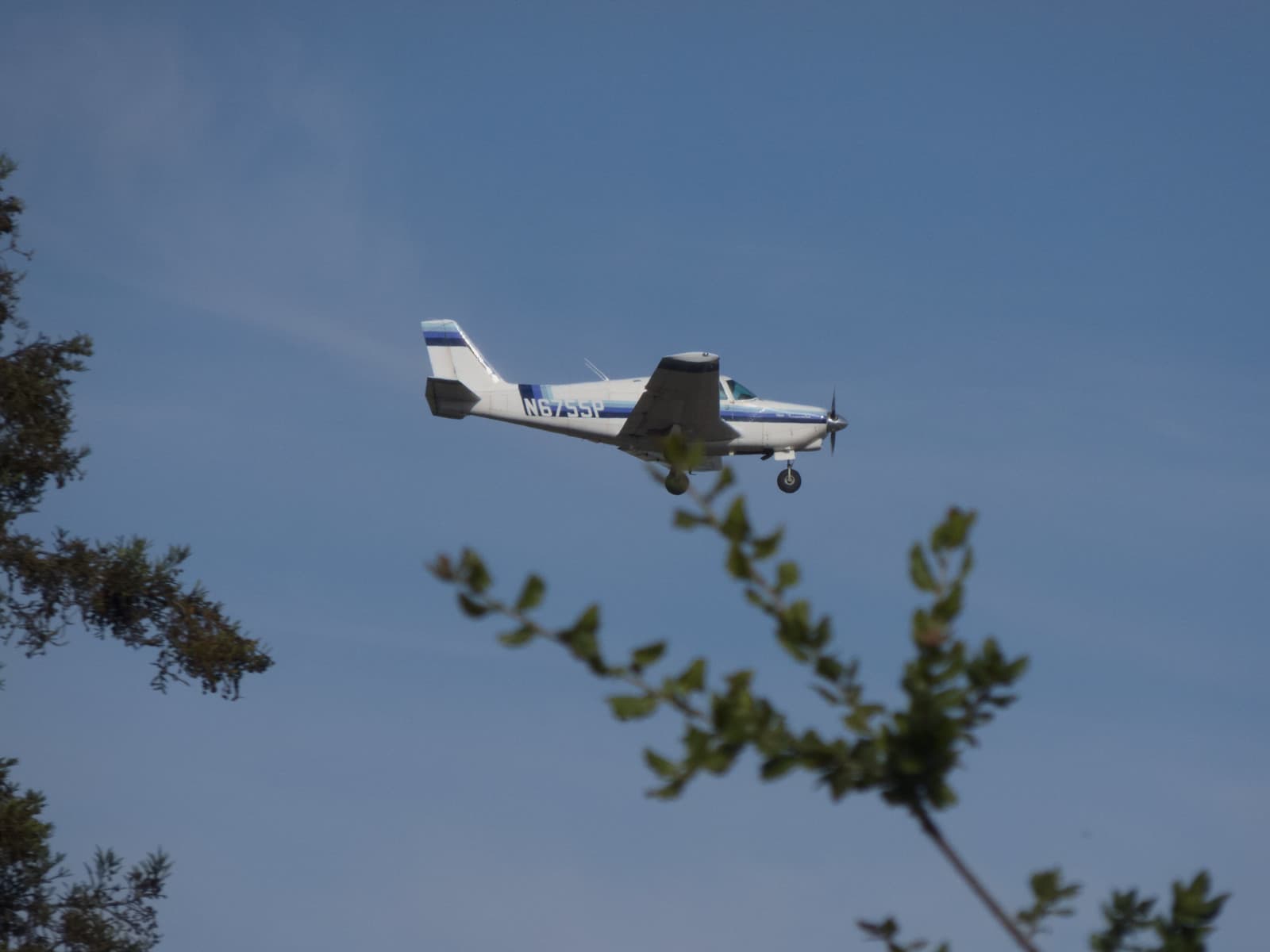 N6755P - Piper