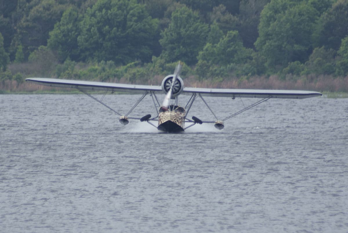 - Single-engine aircraft