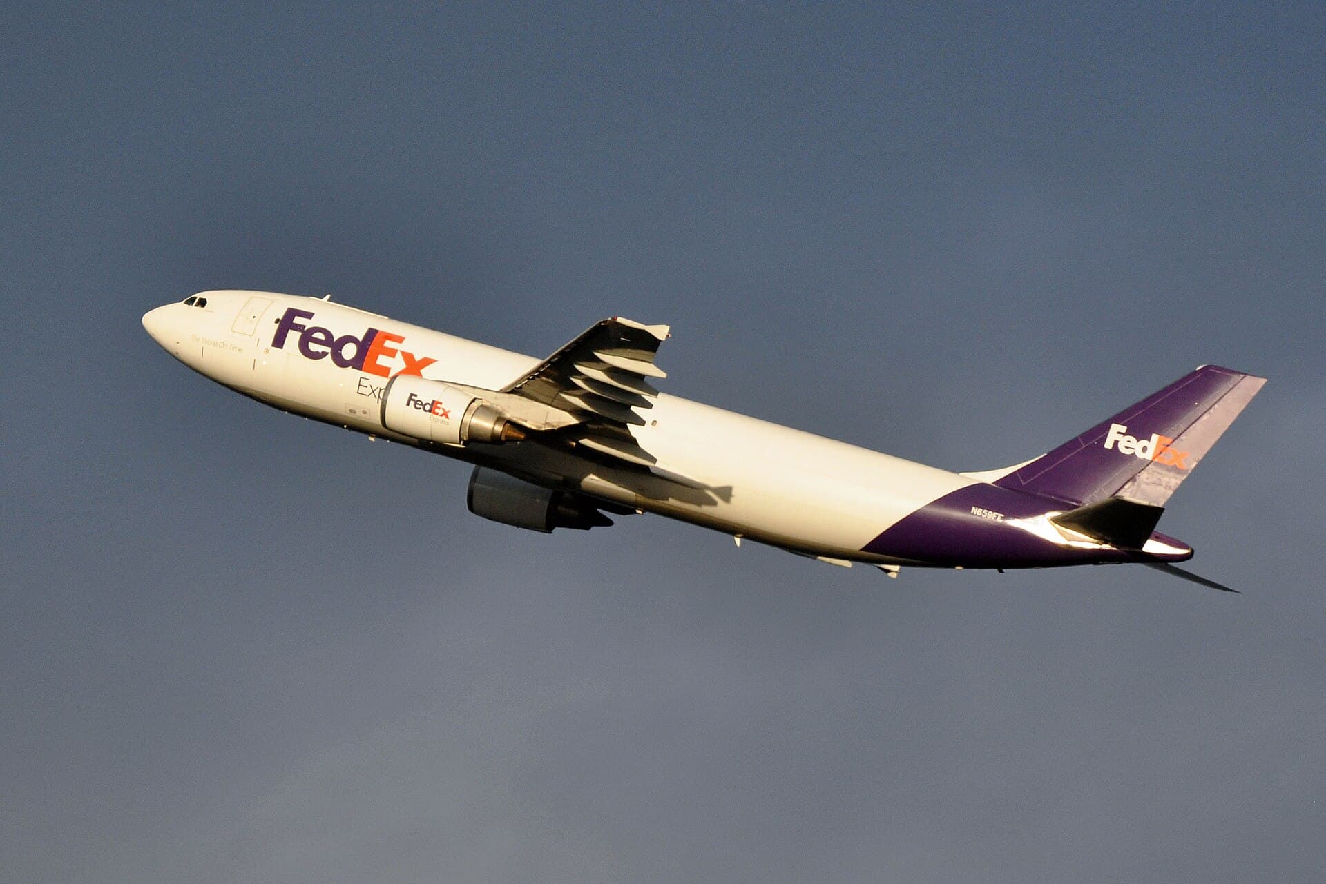 N659FE - Airbus