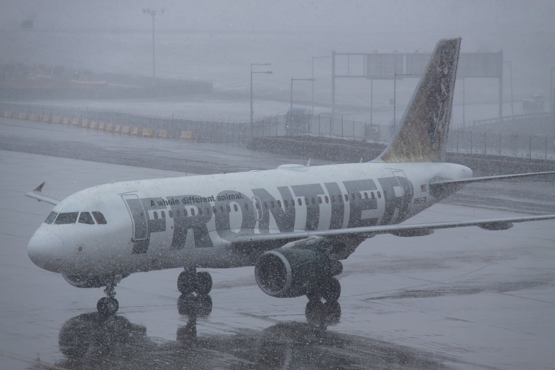 N906FR - Airbus