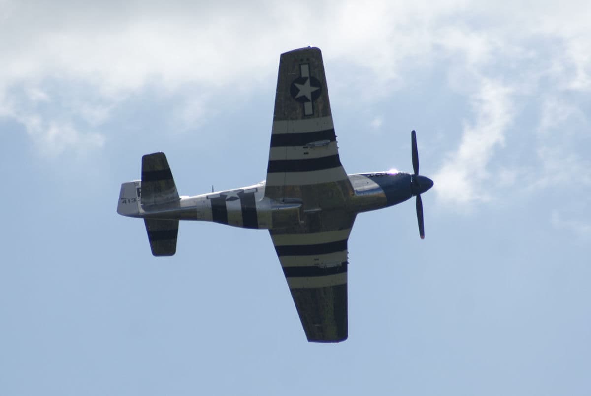 - Warbird