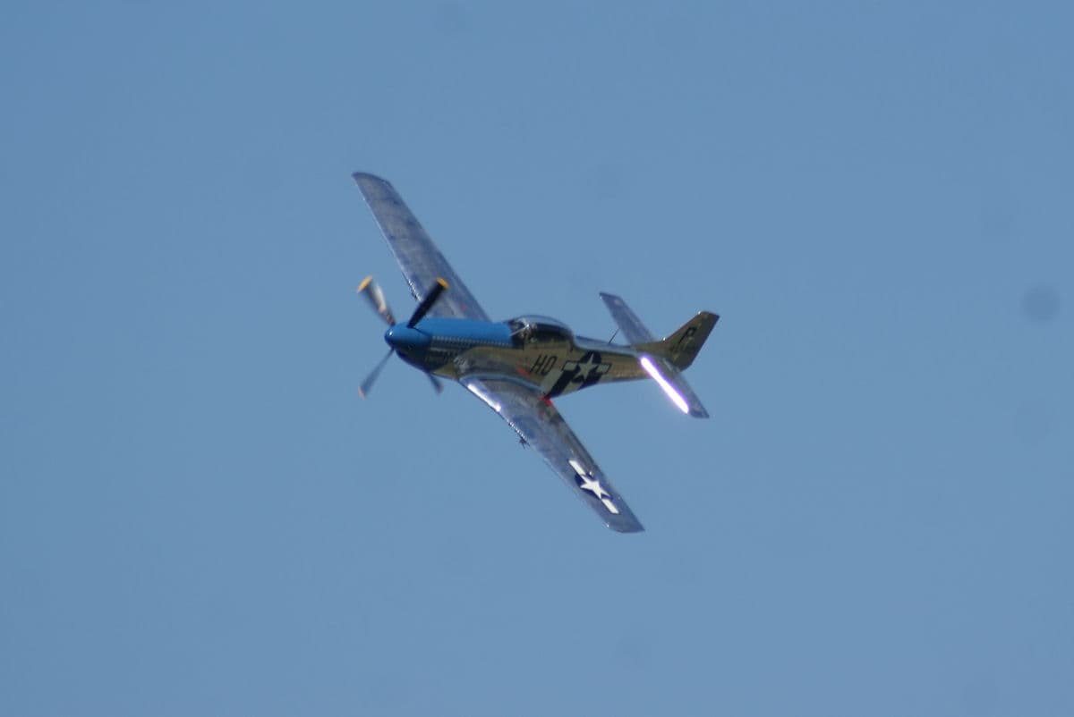 - Warbird