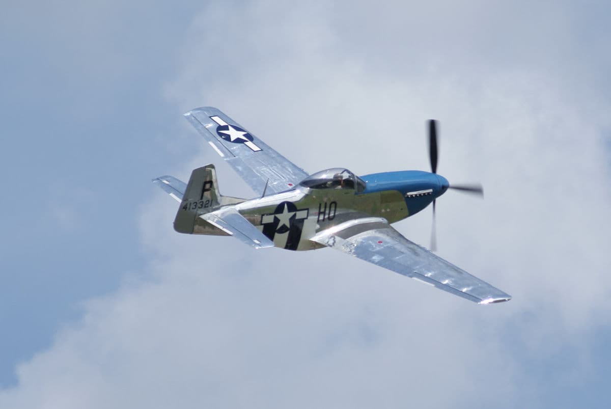 - Warbird