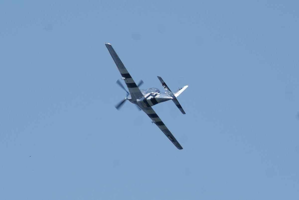- Warbird