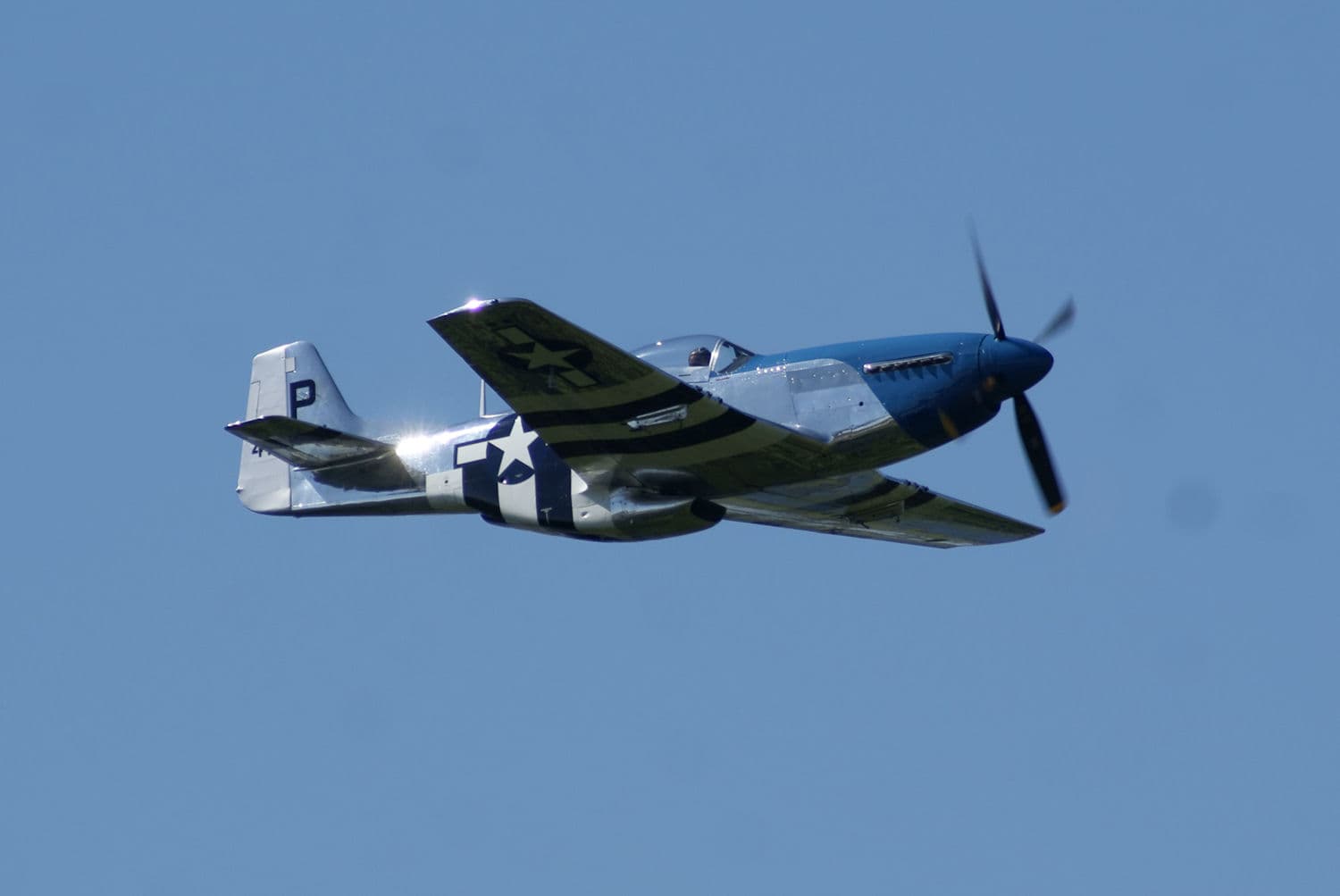 - Warbird