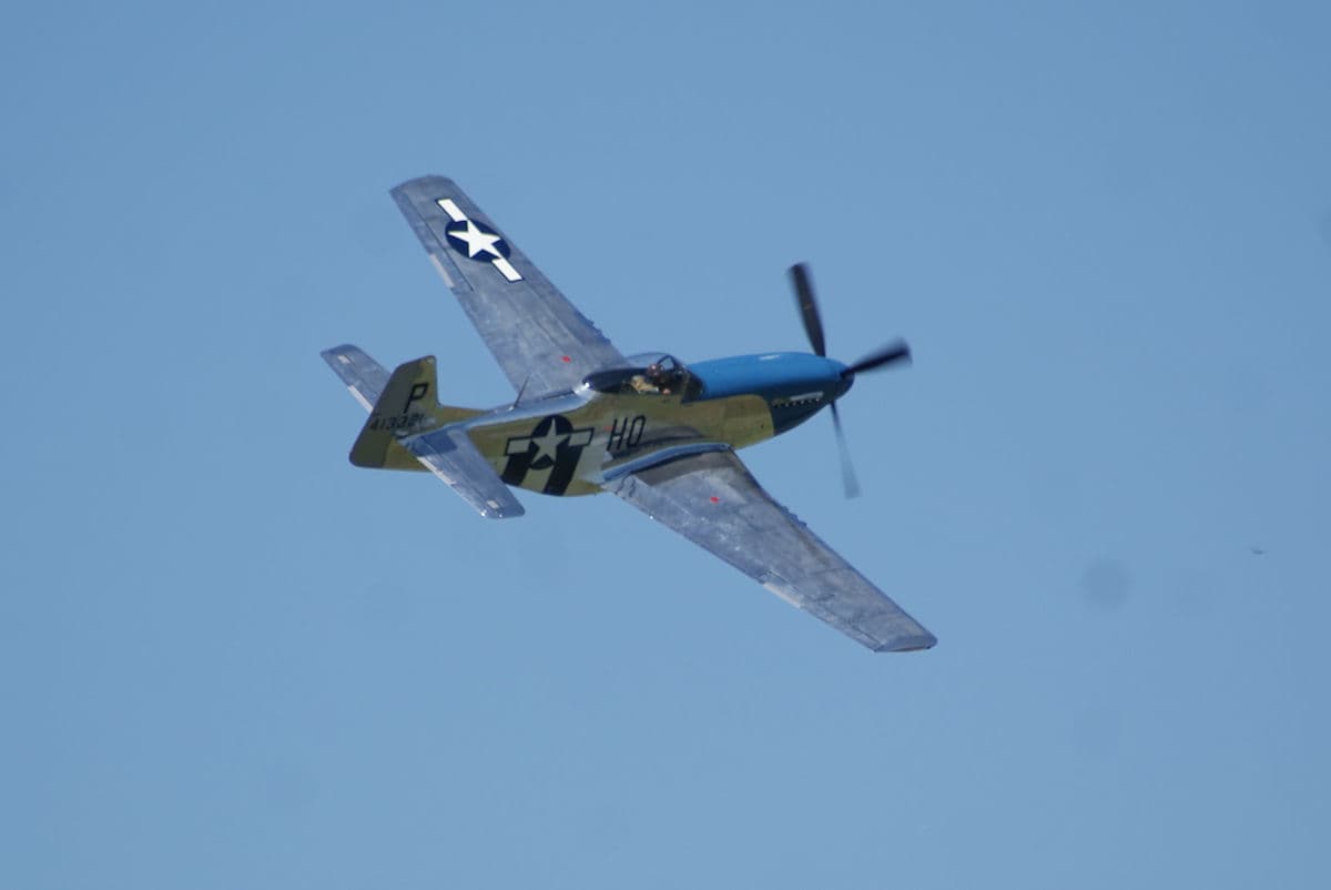 - Warbird