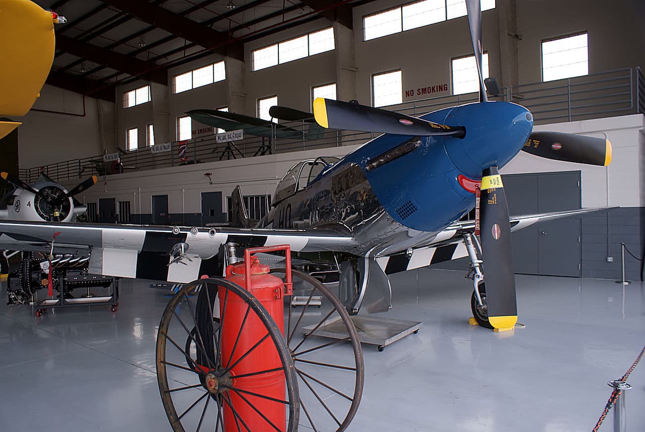 - Warbird