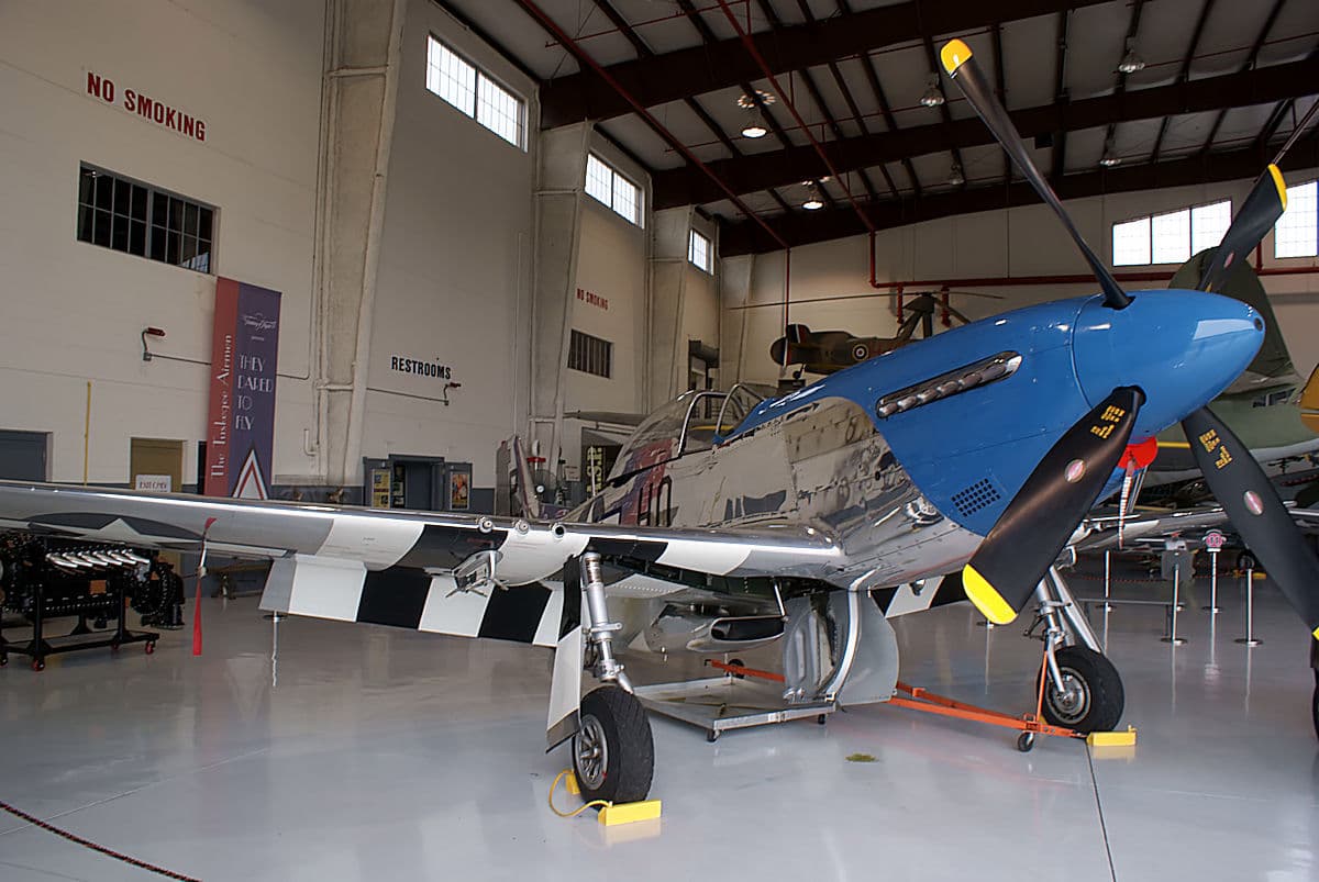 - Warbird