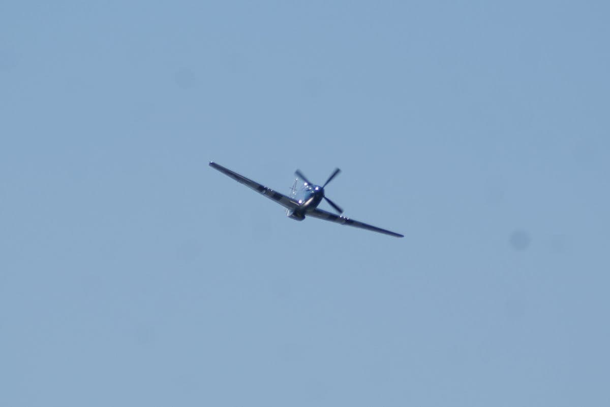 - Warbird