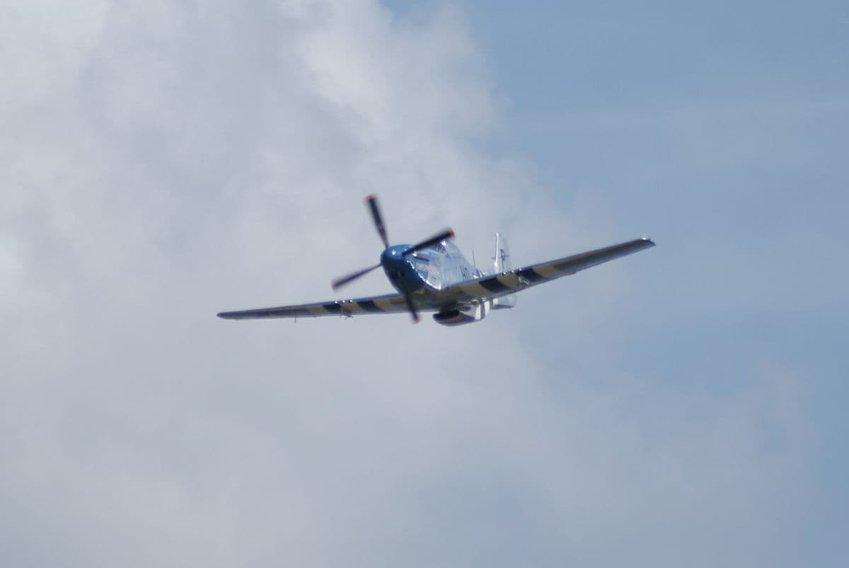 - Warbird