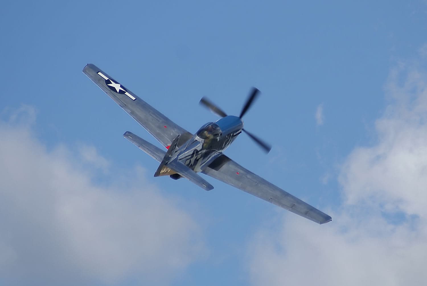 - Warbird