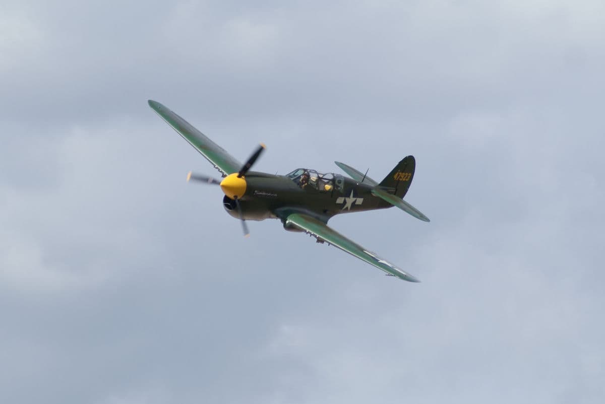 - Warbird