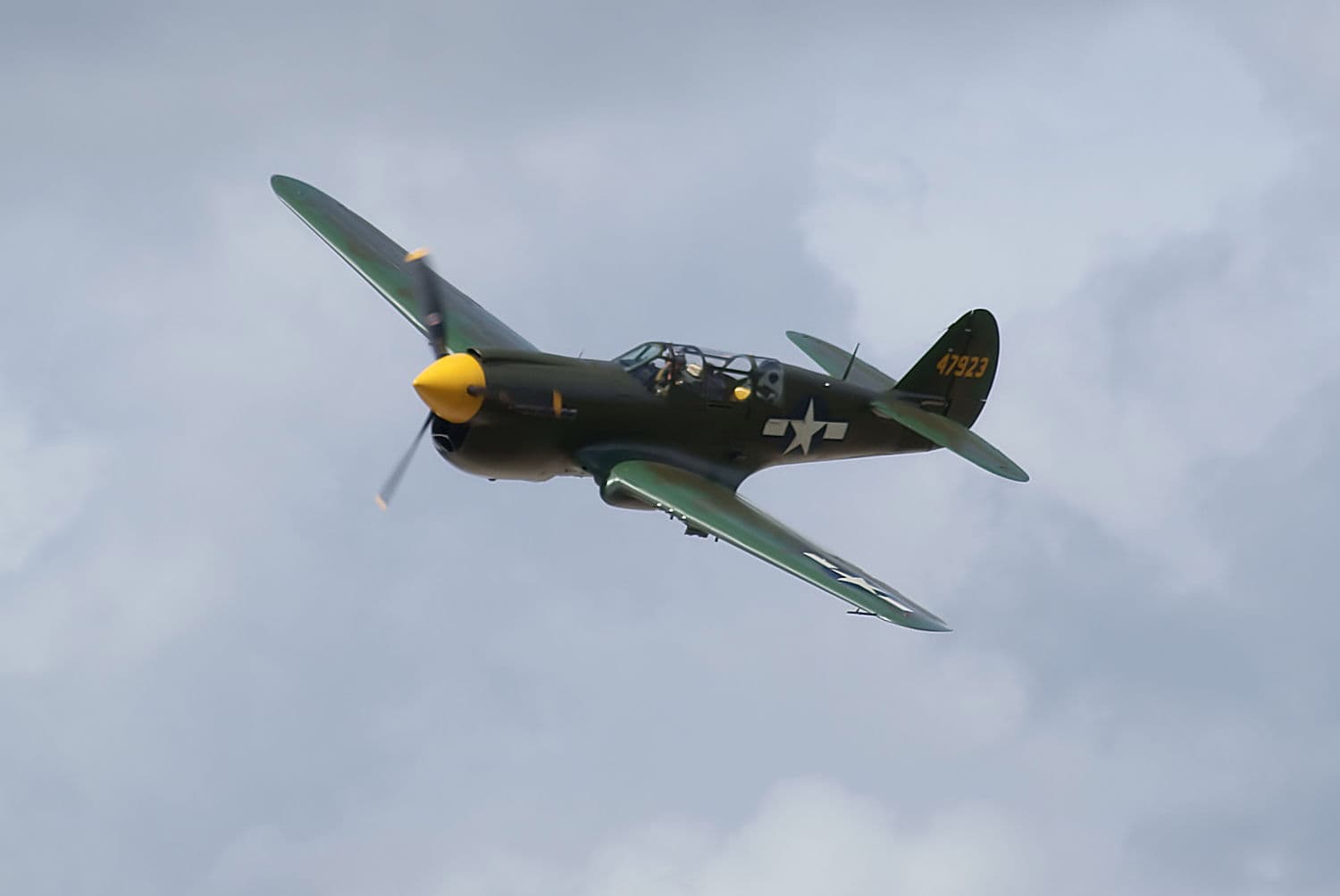 - Warbird