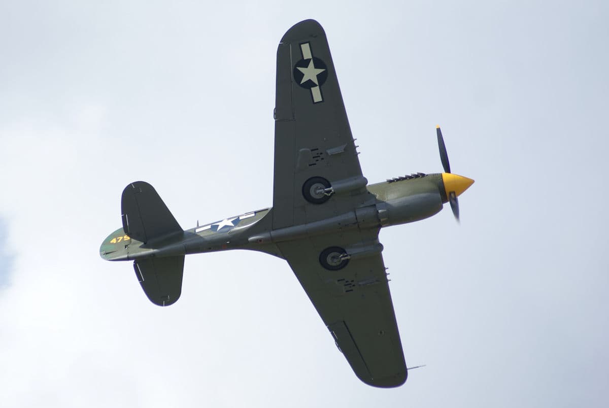 - Warbird
